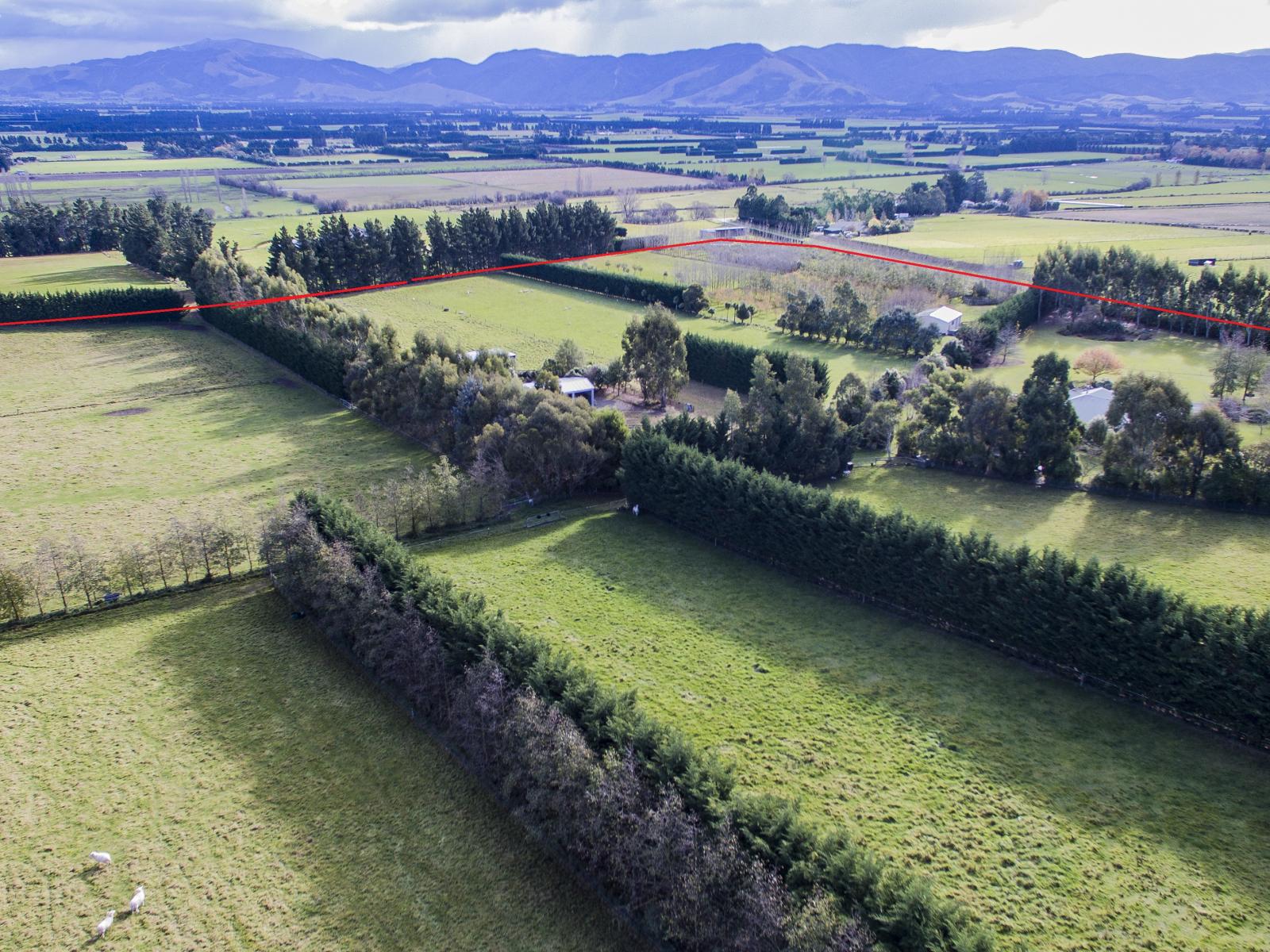 251 Elliotts Road, Cust