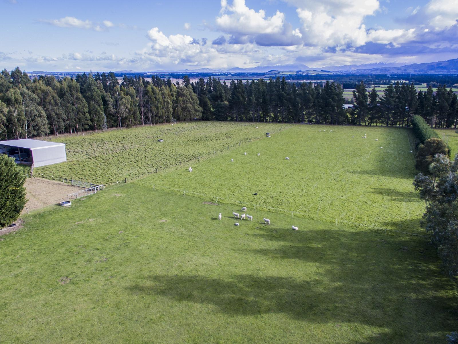 251 Elliotts Road, Cust