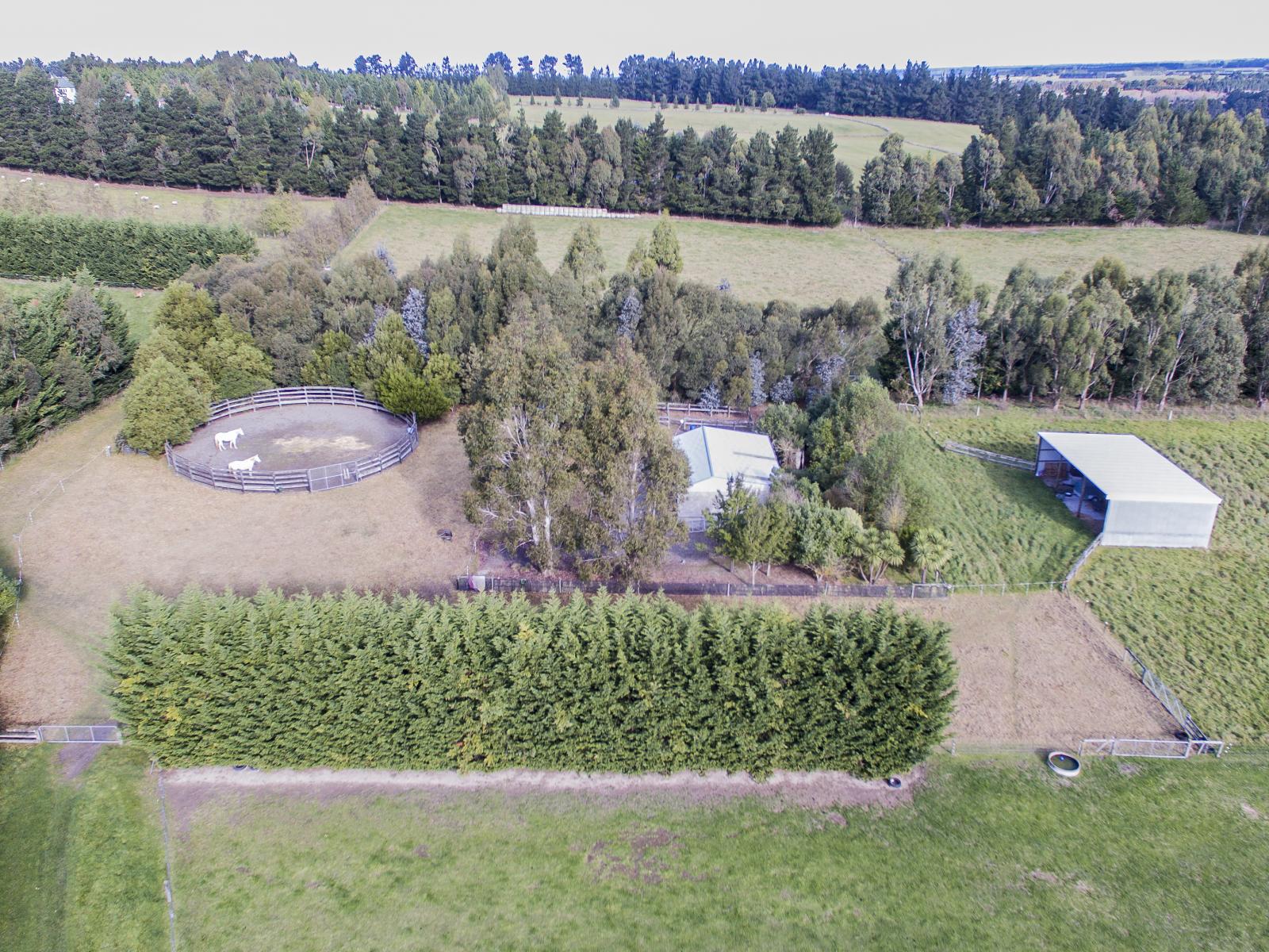 251 Elliotts Road, Cust