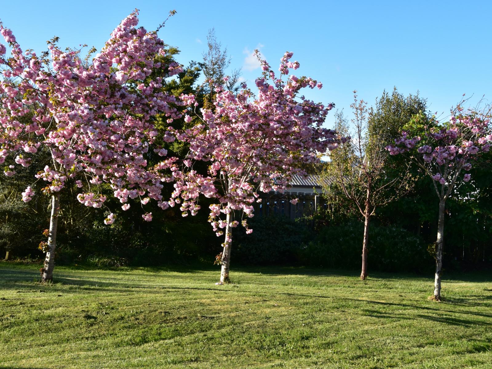 23 Burnett Street, Oxford