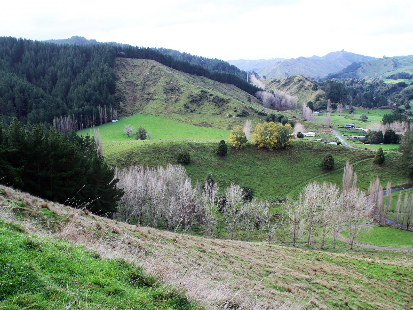 5672 Turakina Valley Road, Hunterville