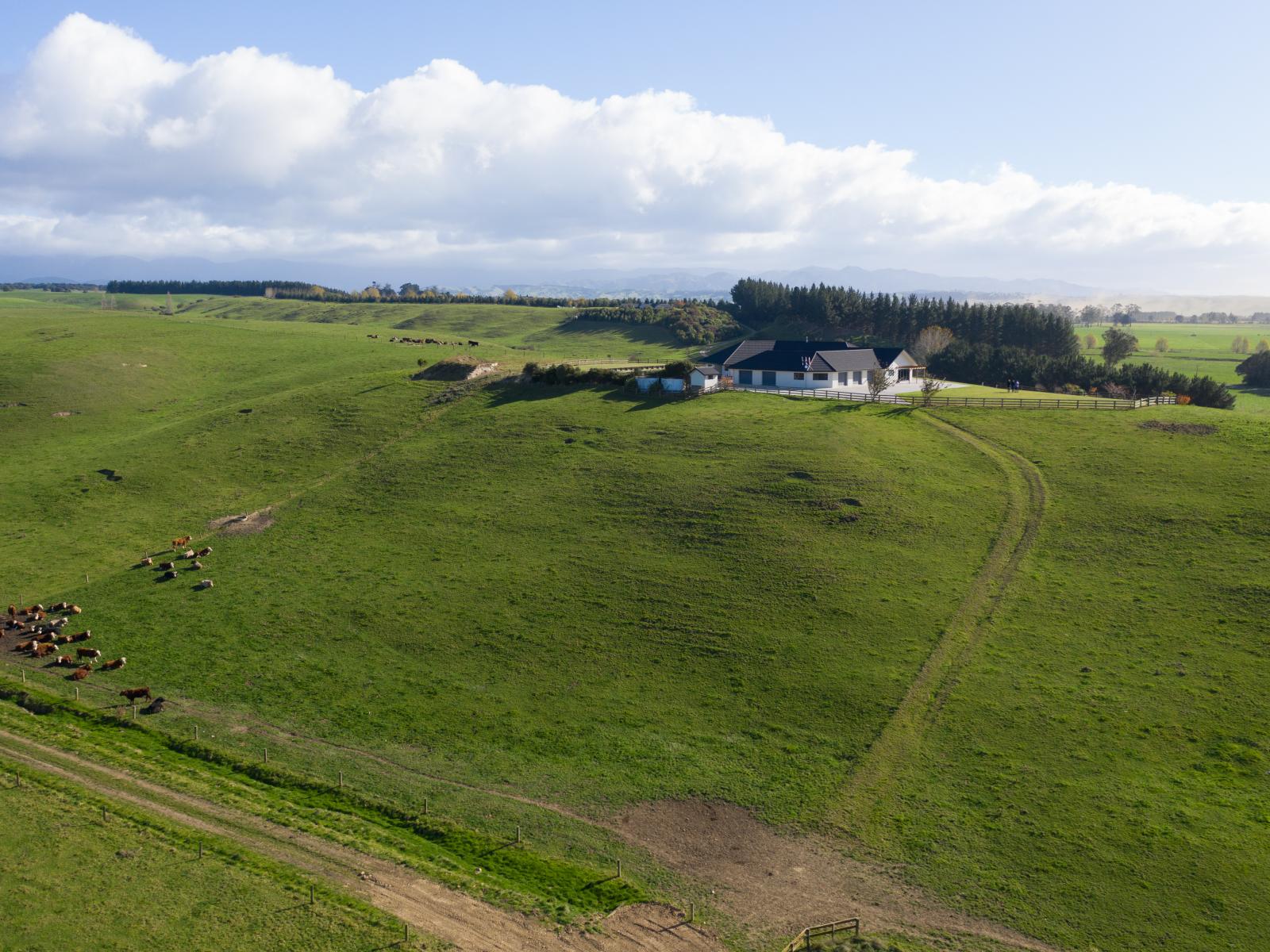 675 Wakarara Road, Ongaonga