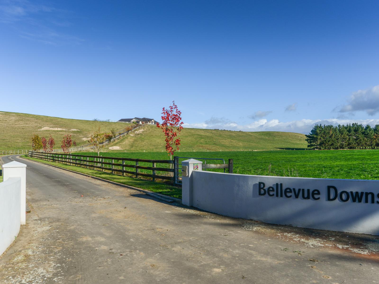 675 Wakarara Road, Ongaonga