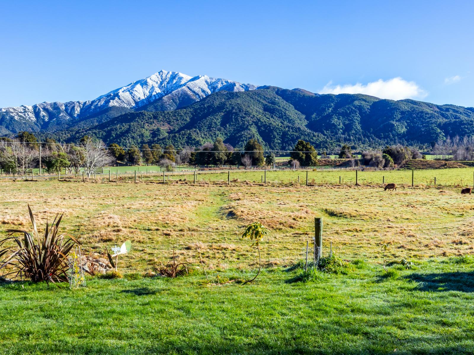 1248 Peel Forest Road, Peel Forest