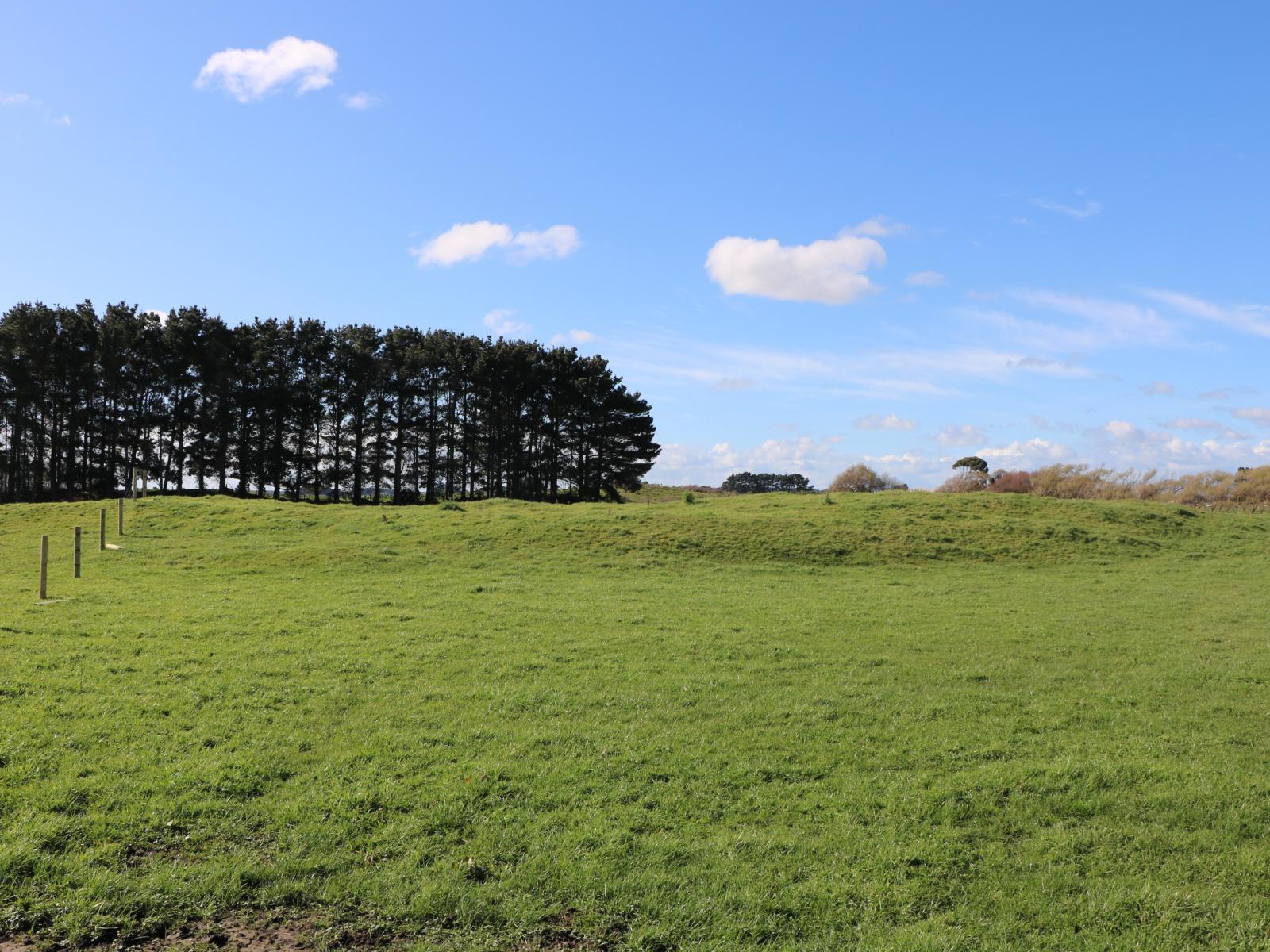 70 Himatangi Beach Road, Himatangi Beach