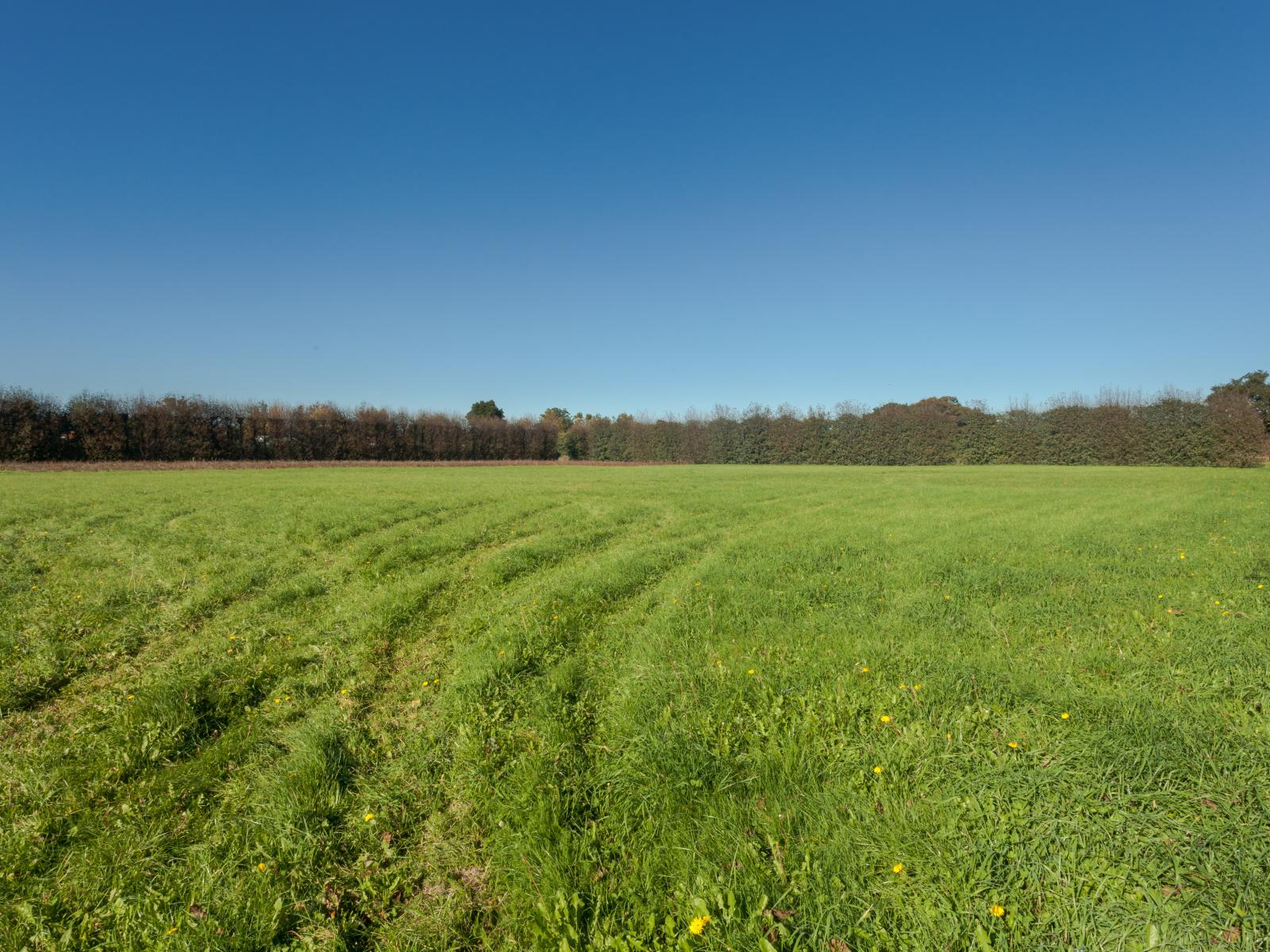 21, Farley Avenue, Greytown