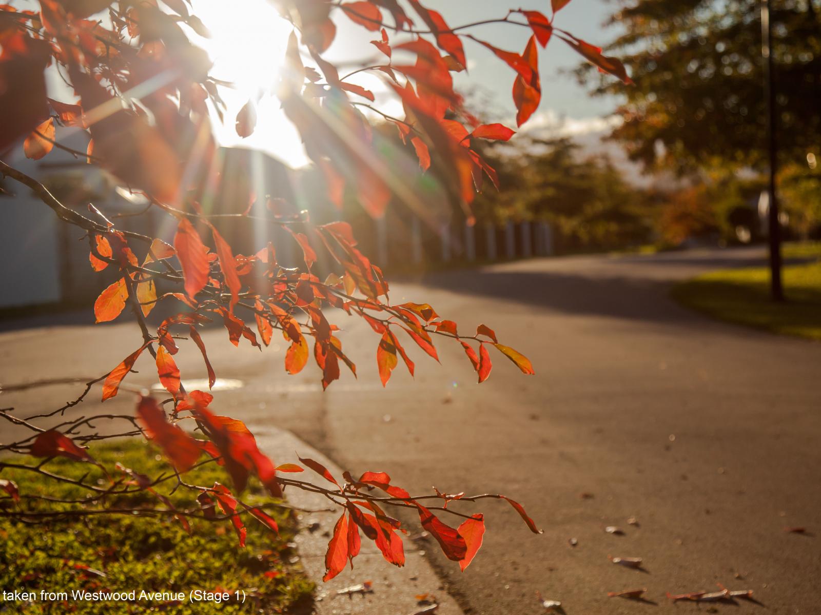 23, Farley Avenue, Greytown