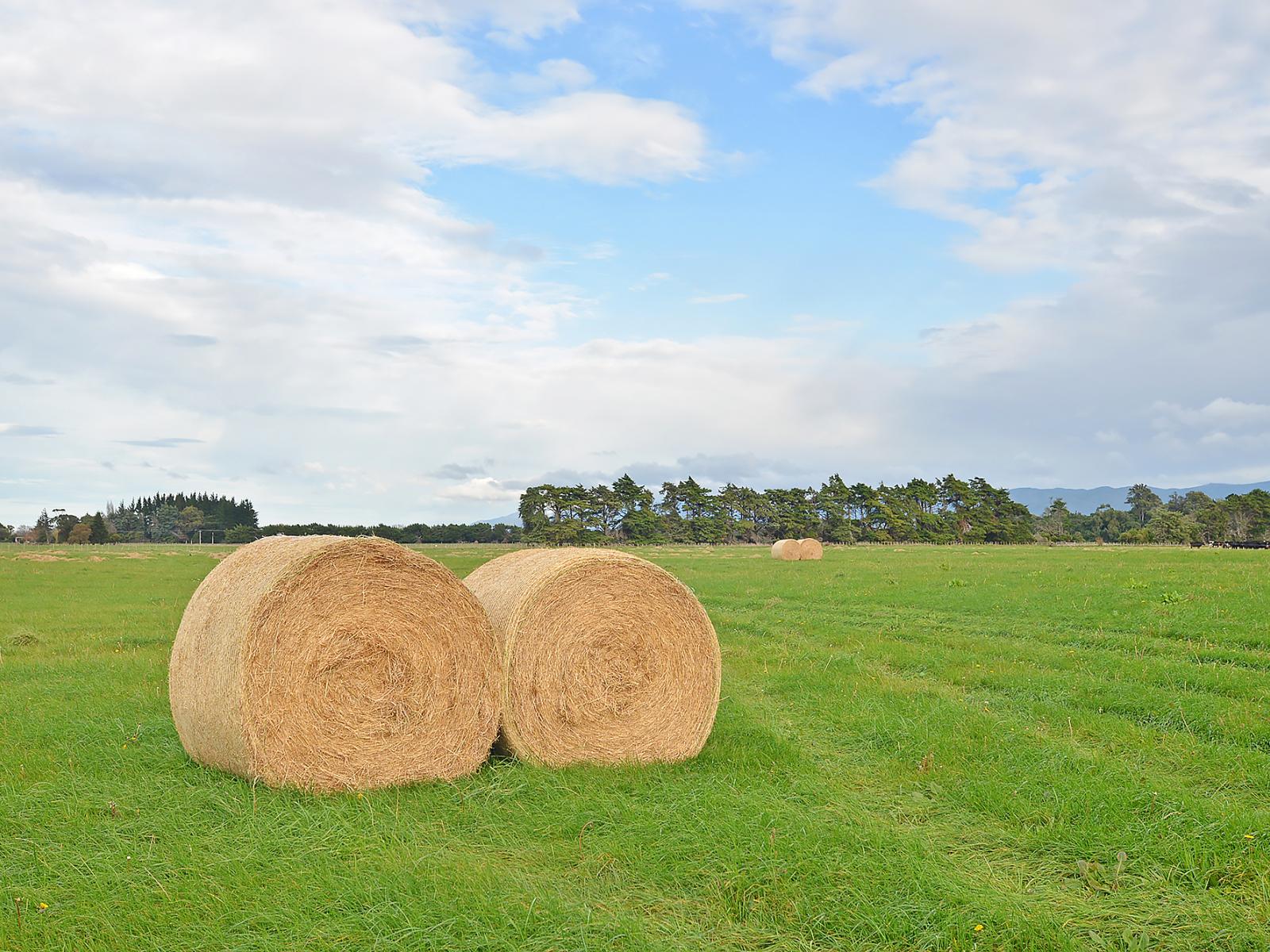 Lot 2 No 1 Line, Tauherenikau