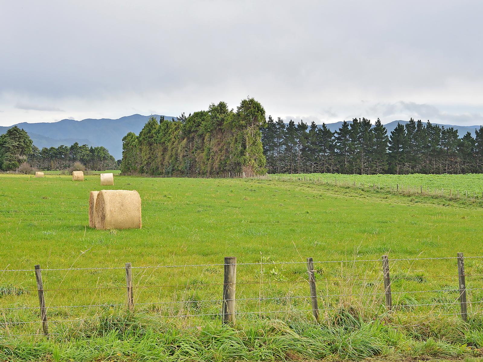 Lot 2 No 1 Line, Tauherenikau