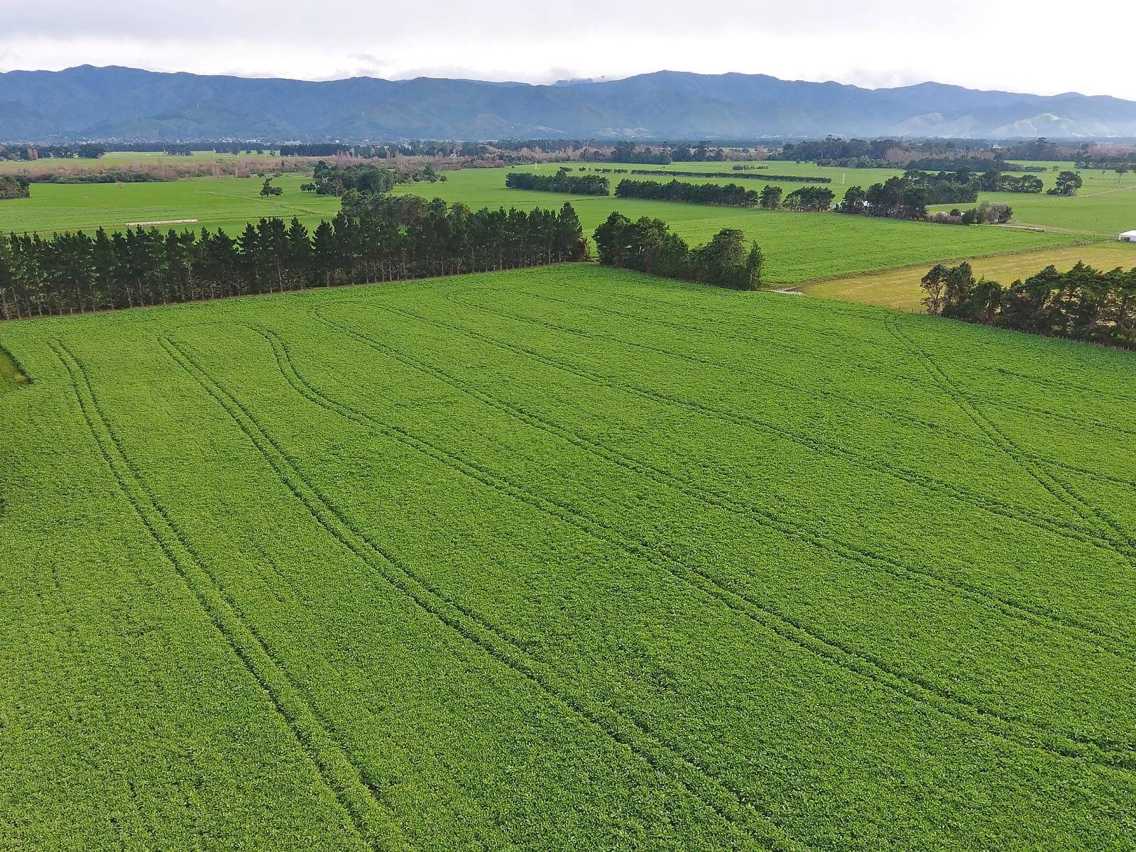 Lot 2 No 1 Line, Tauherenikau