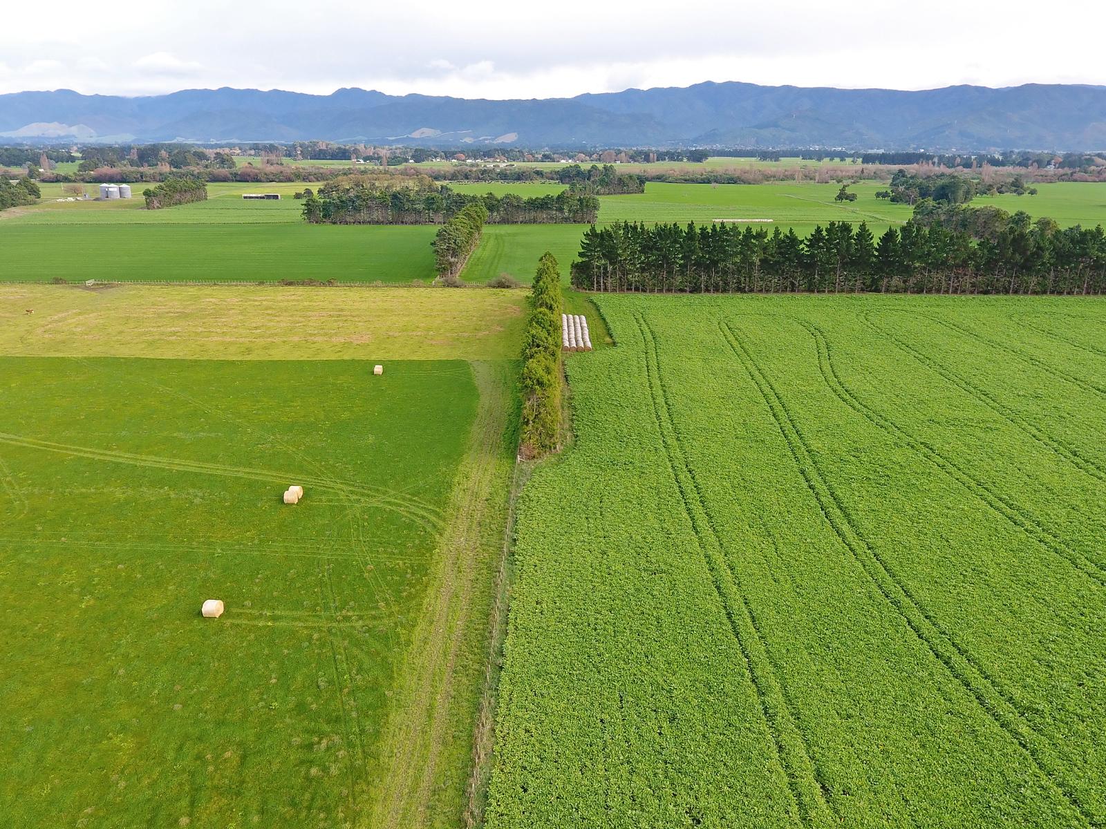 Lot 2 No 1 Line, Tauherenikau