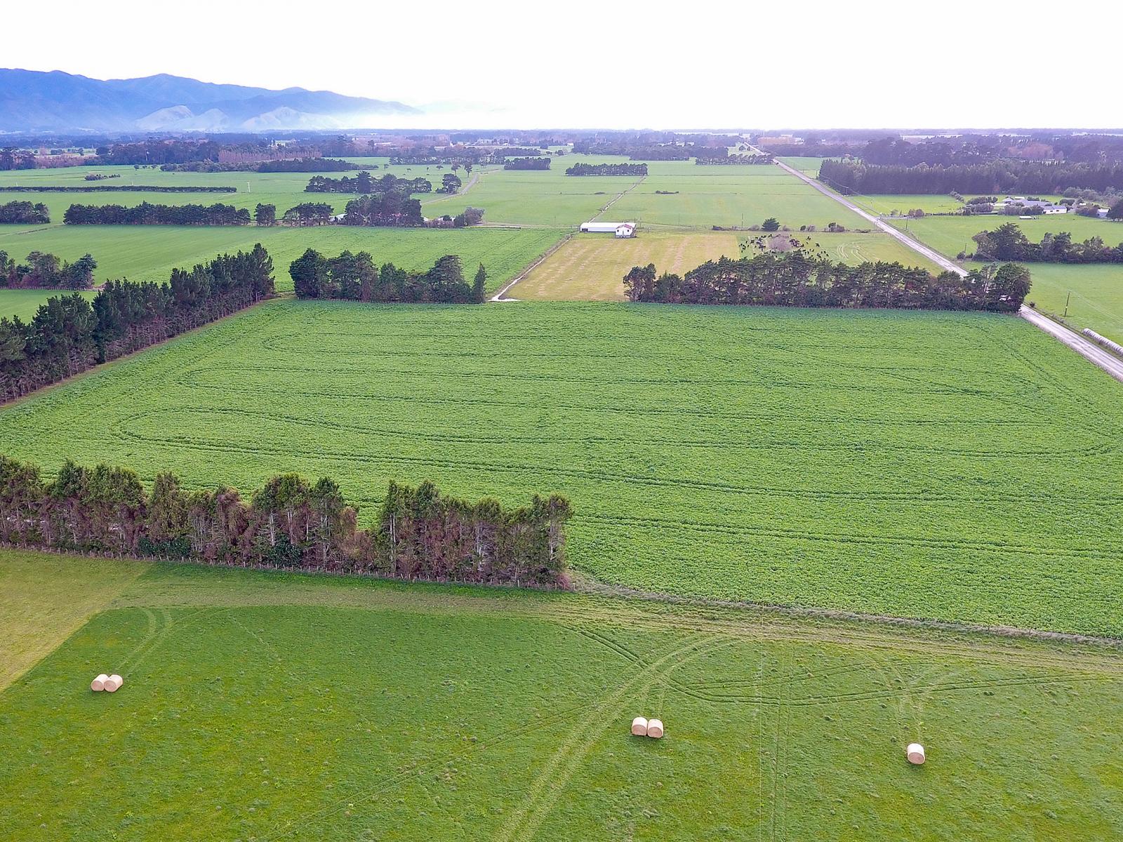 Lot 2 No 1 Line, Tauherenikau