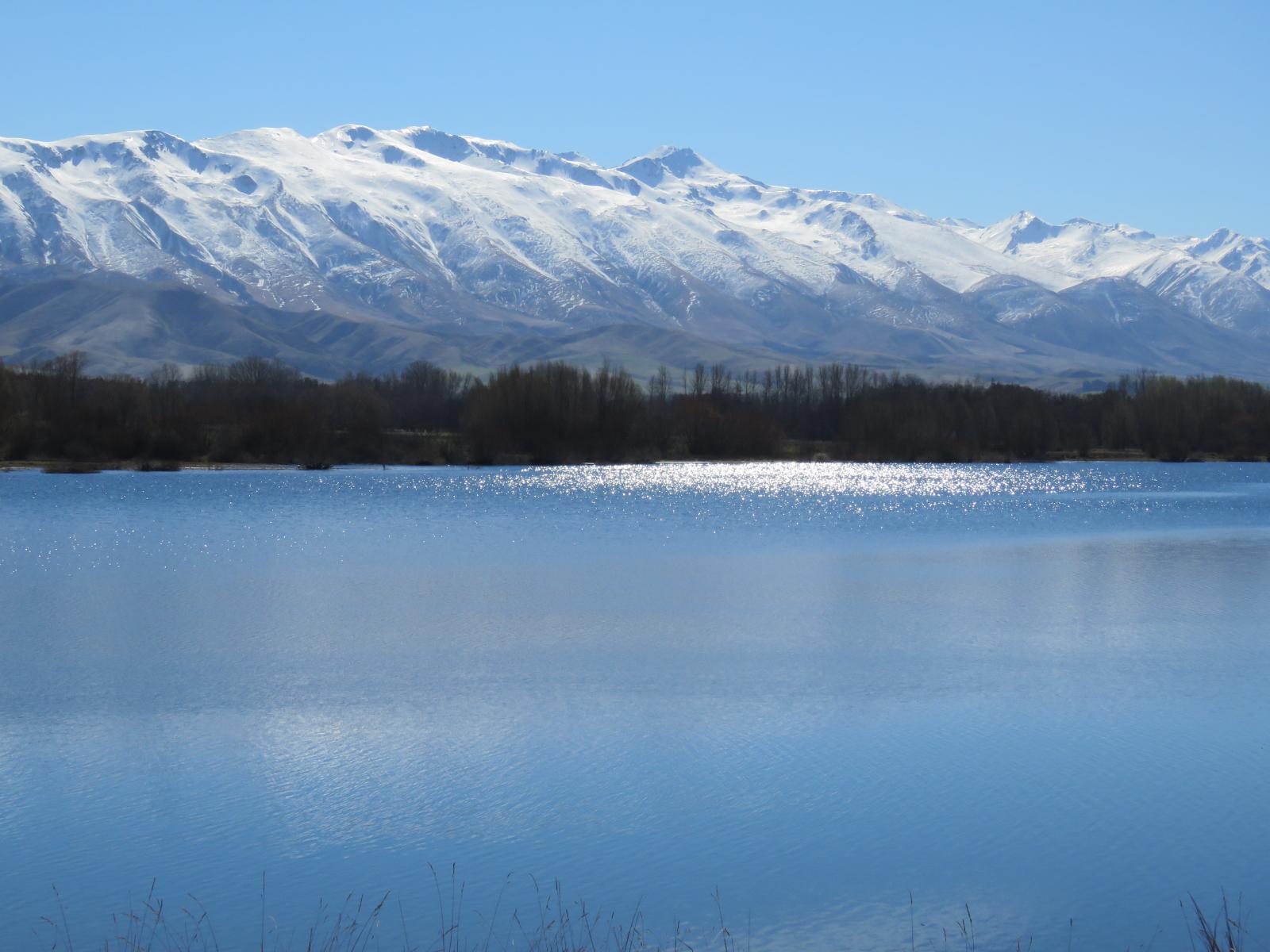 80 Butlers Road, Fairlie