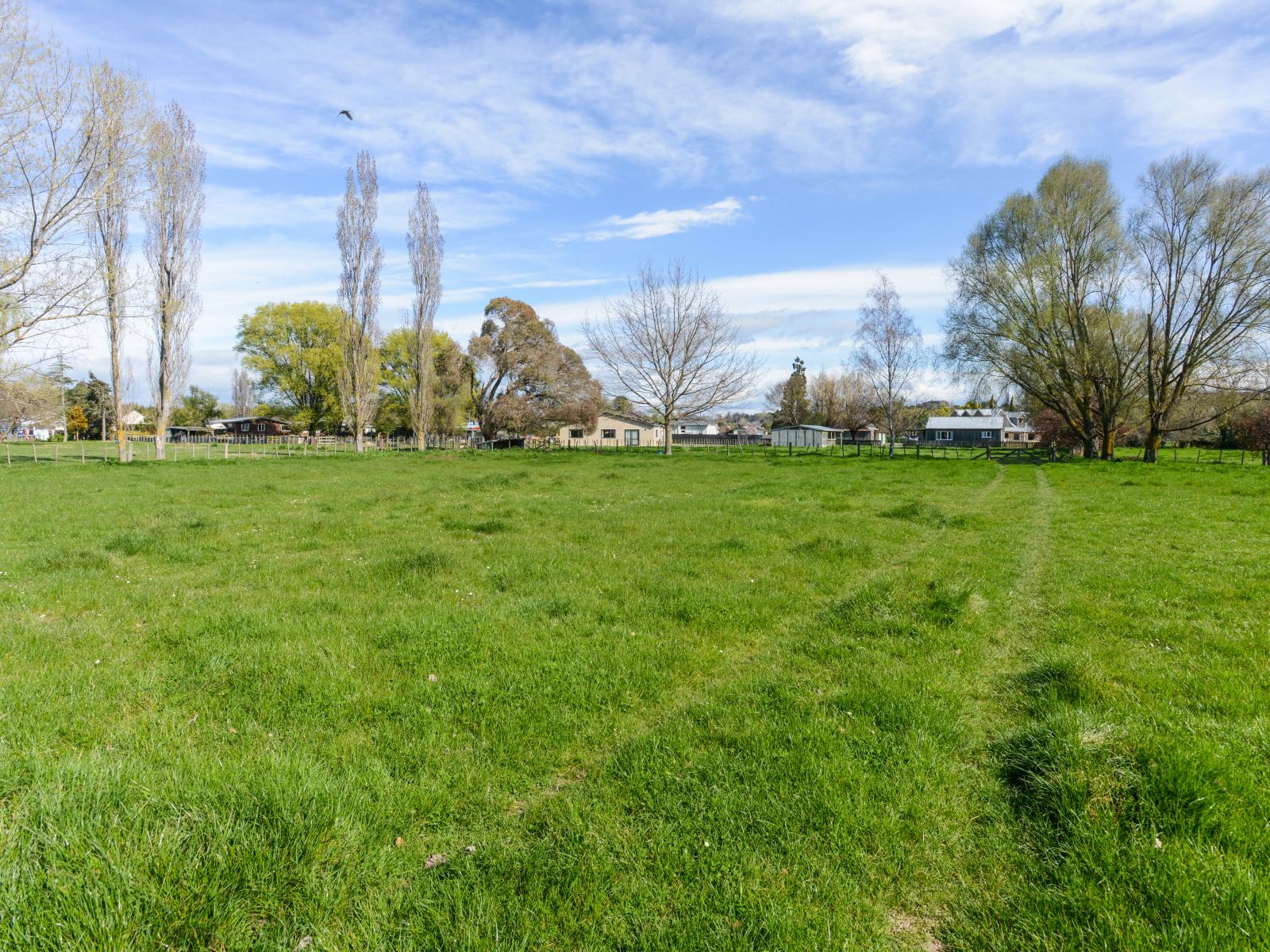Lots 1-5, 5 Johnson Street, Waipawa