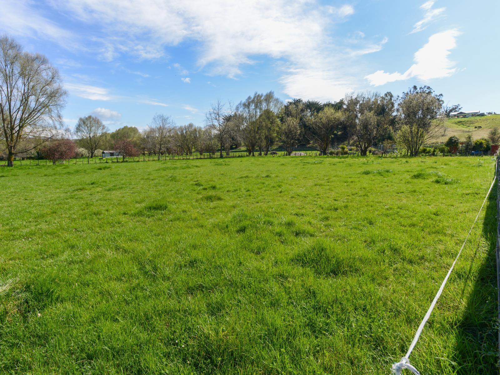 Lots 1-5, 5 Johnson Street, Waipawa