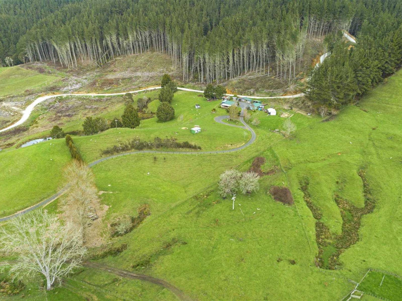 101 Koromiko Road, Ongarue