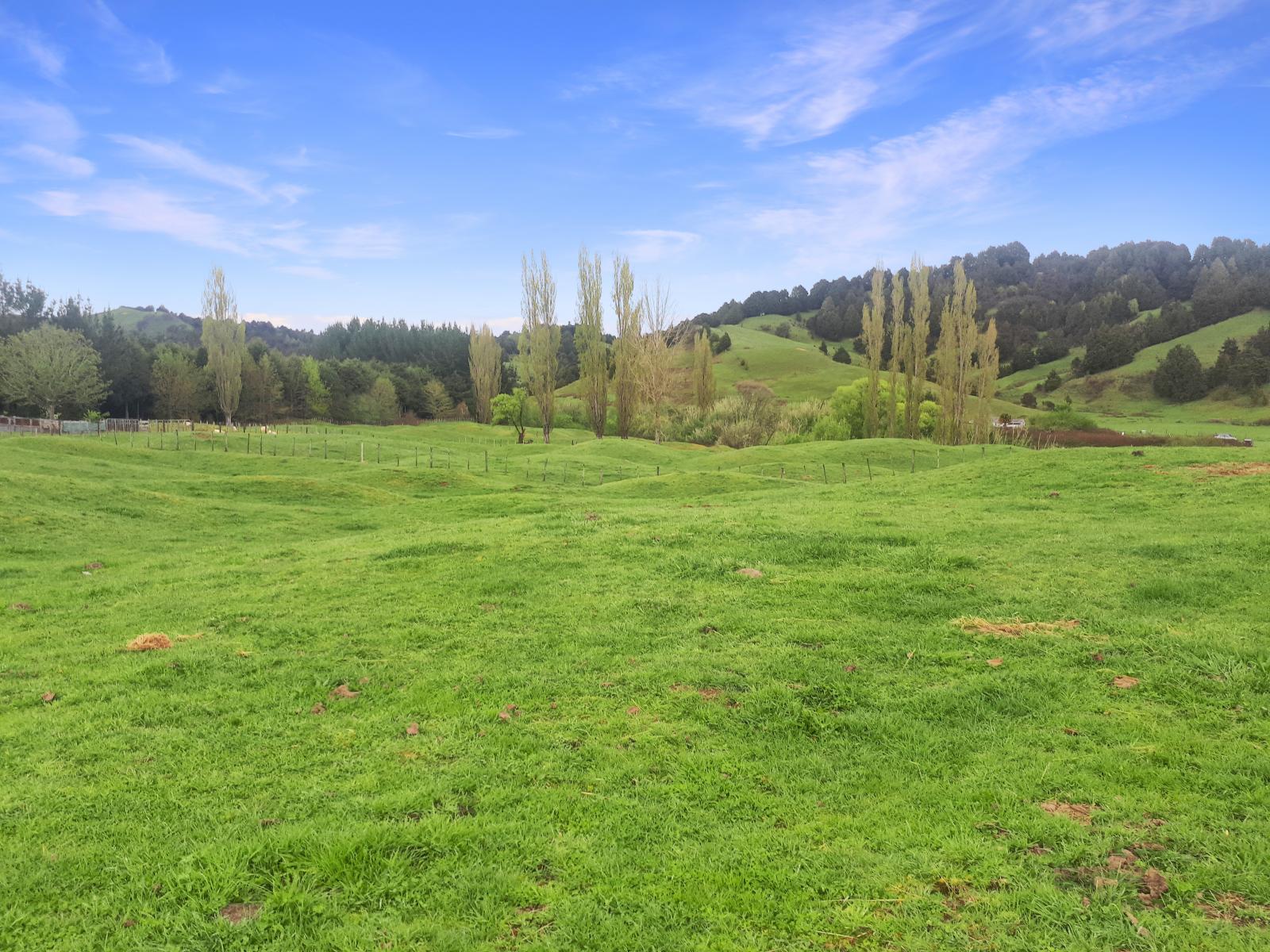 Taringamotu Road, Taumarunui