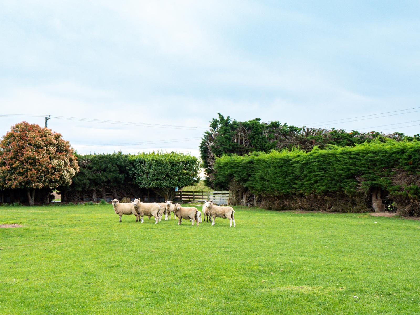 513 Grahams Road, Huntingdon