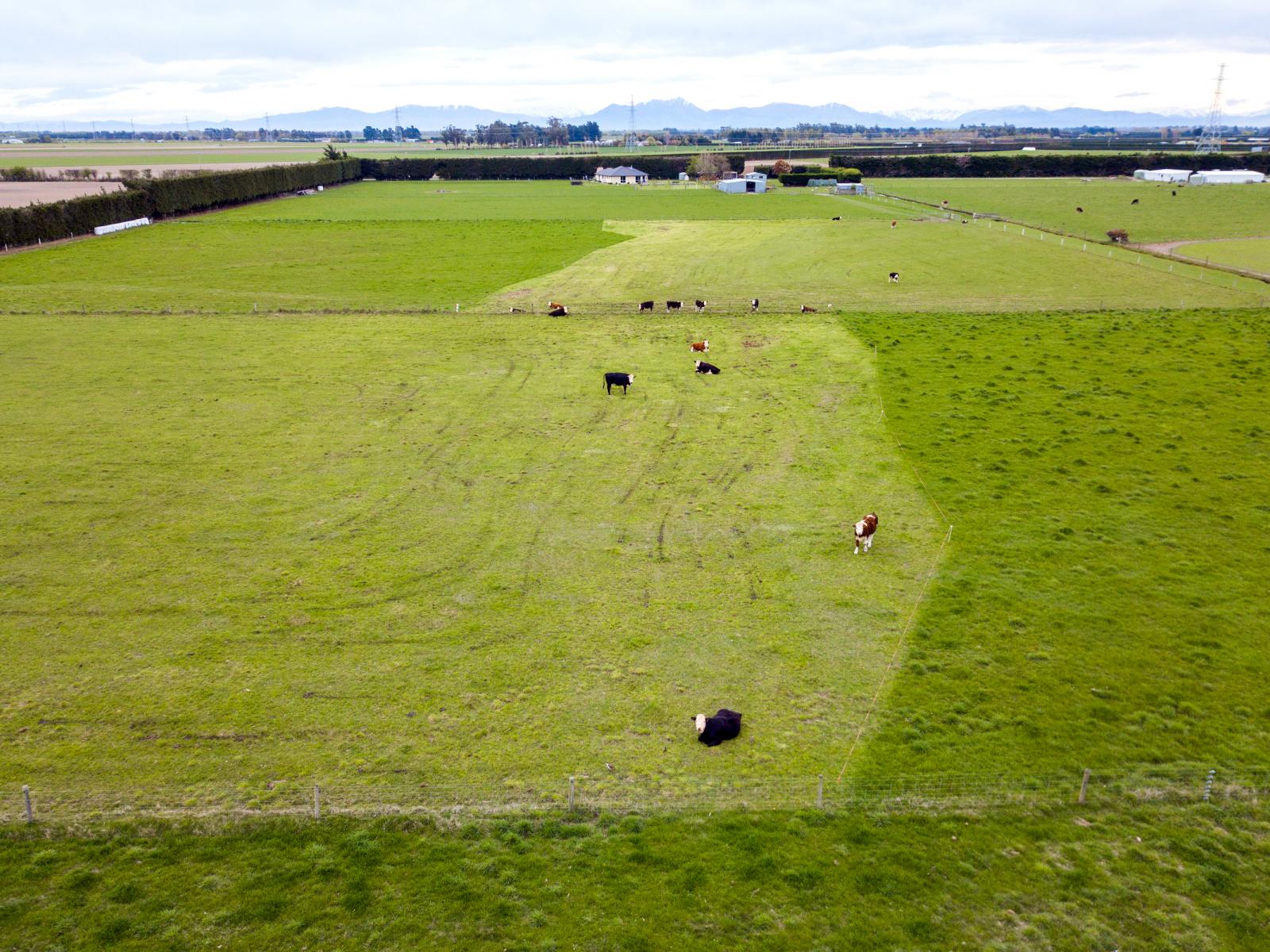 513 Grahams Road, Huntingdon