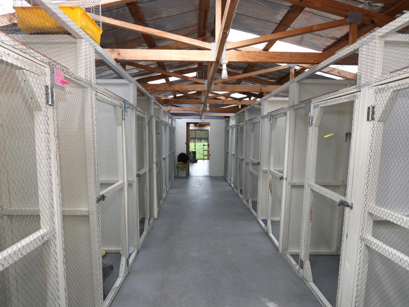 18 Thews Road, Tinwald