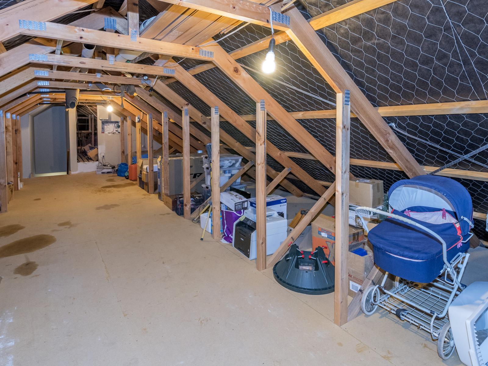 19 Wylie Road, Foxton Beach