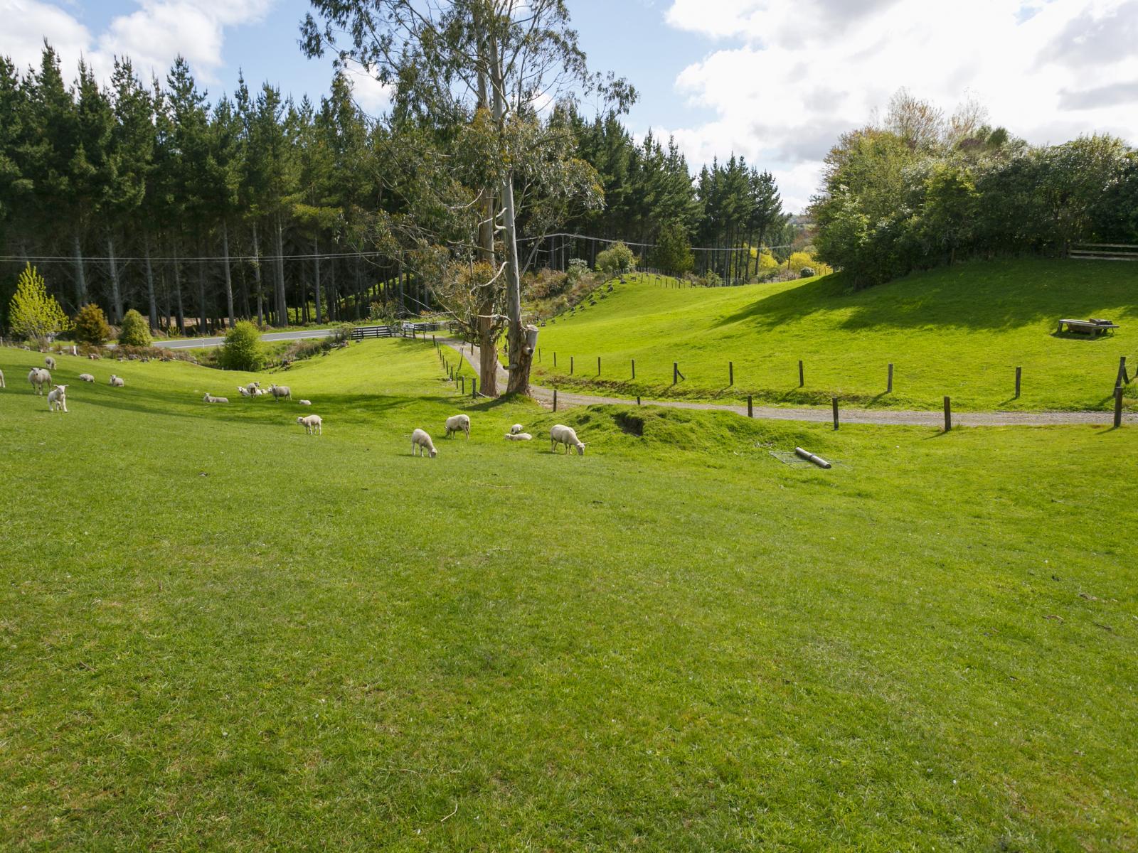 1214 Poihipi Road, Oruanui