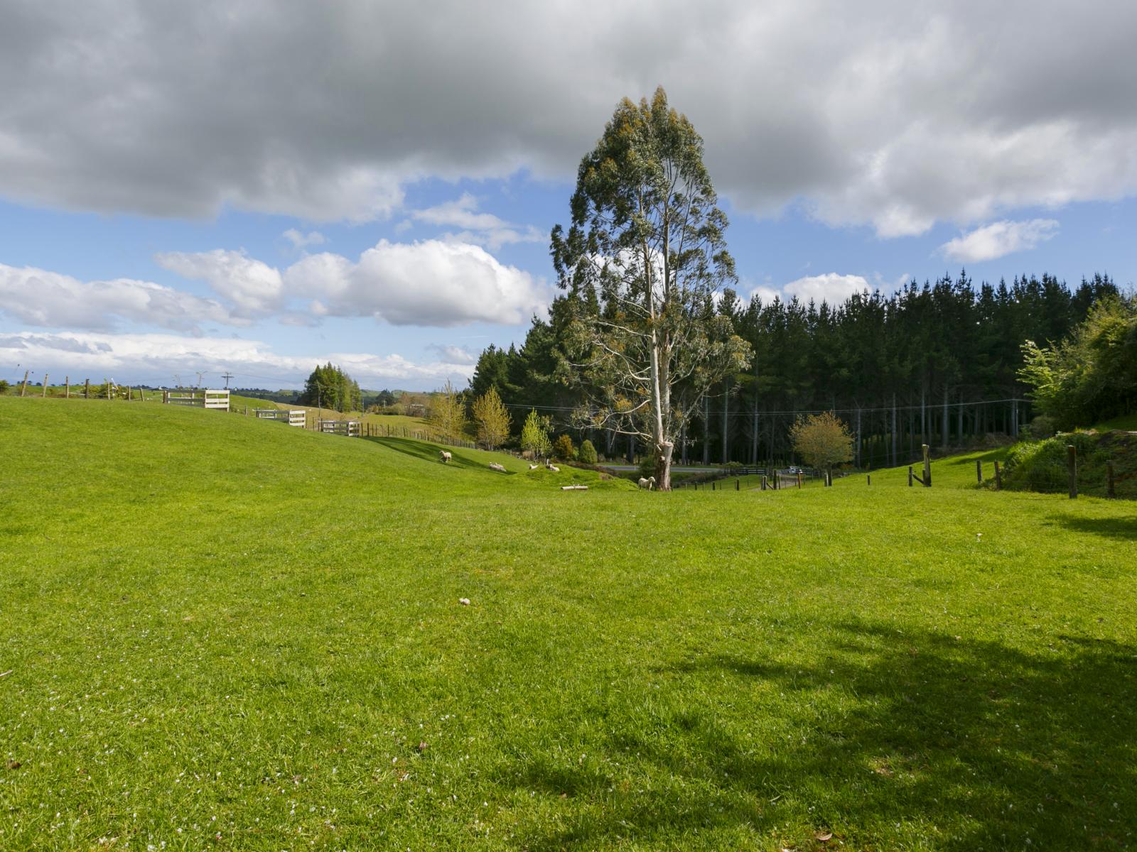 1214 Poihipi Road, Oruanui
