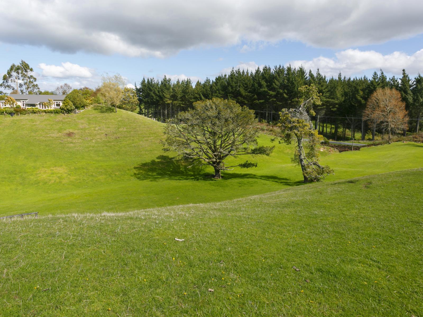 1214 Poihipi Road, Oruanui