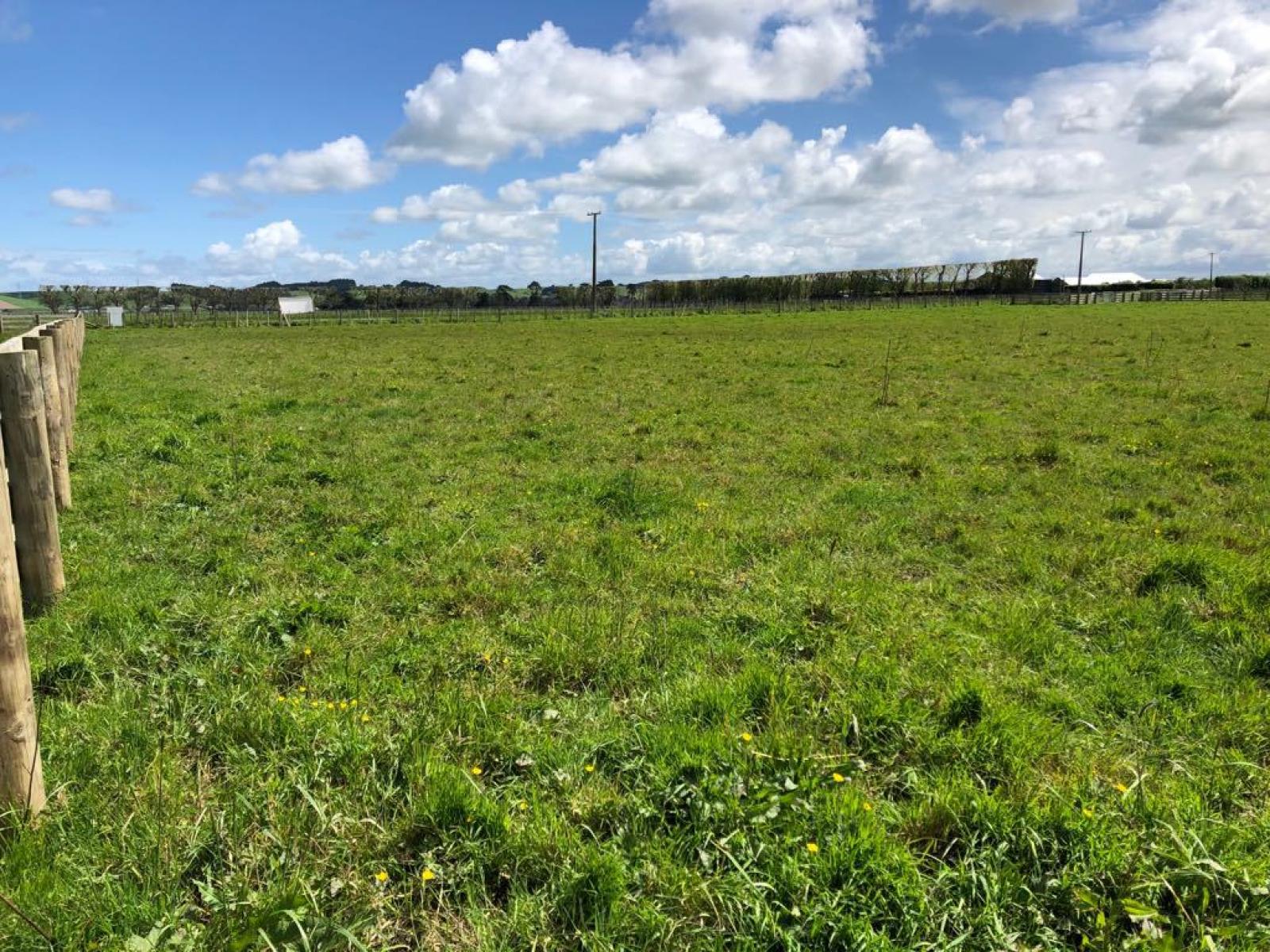 Lot 1 Pharazyn Road, Feilding