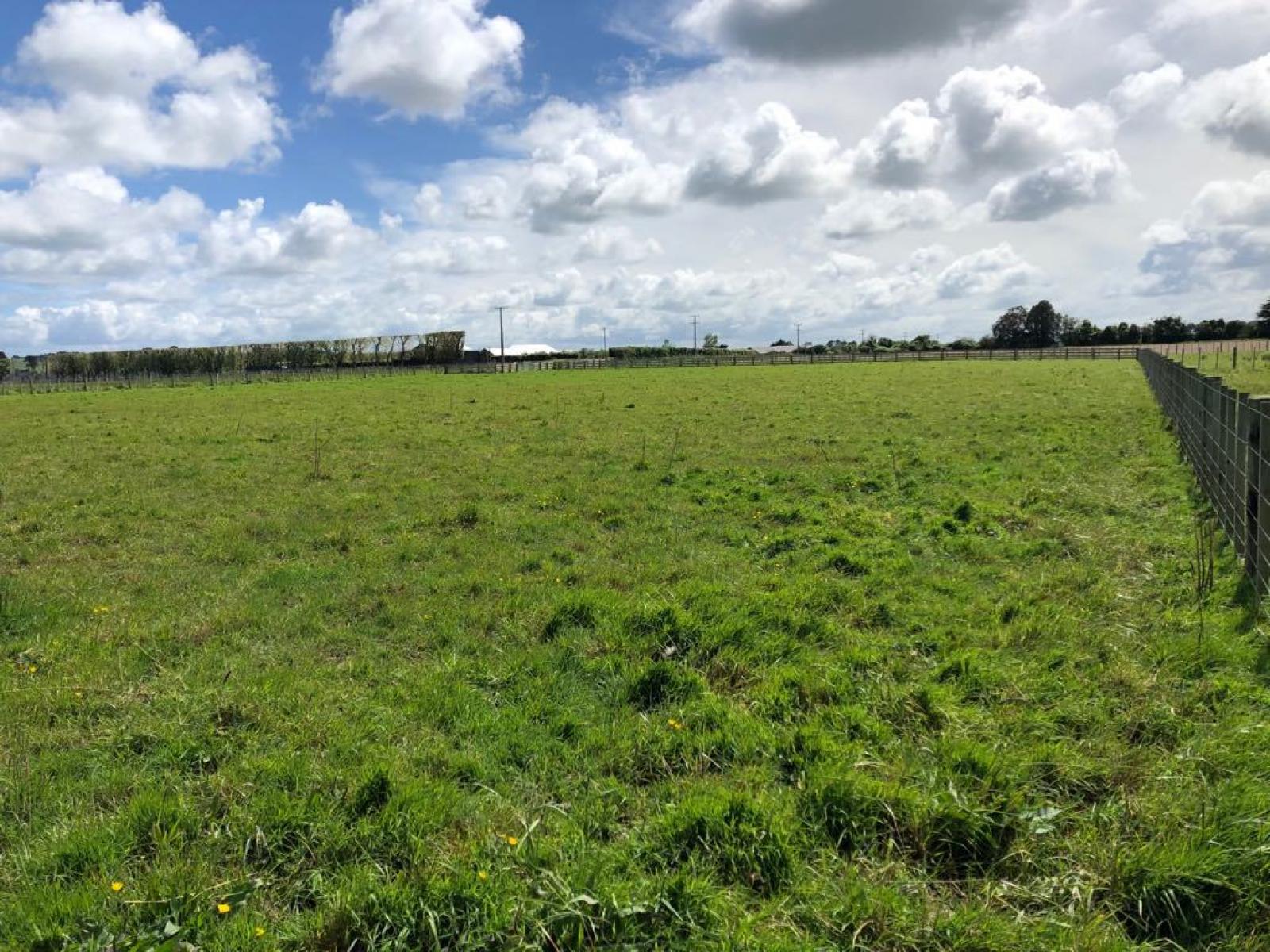 Lot 2 Pharazyn Road, Feilding