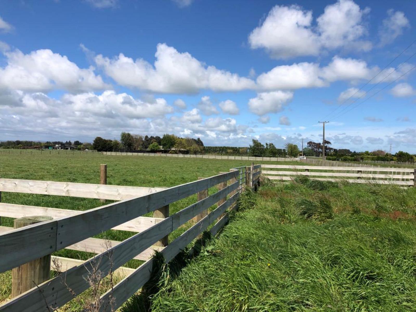 Lot 3 Pharazyn Road, Feilding