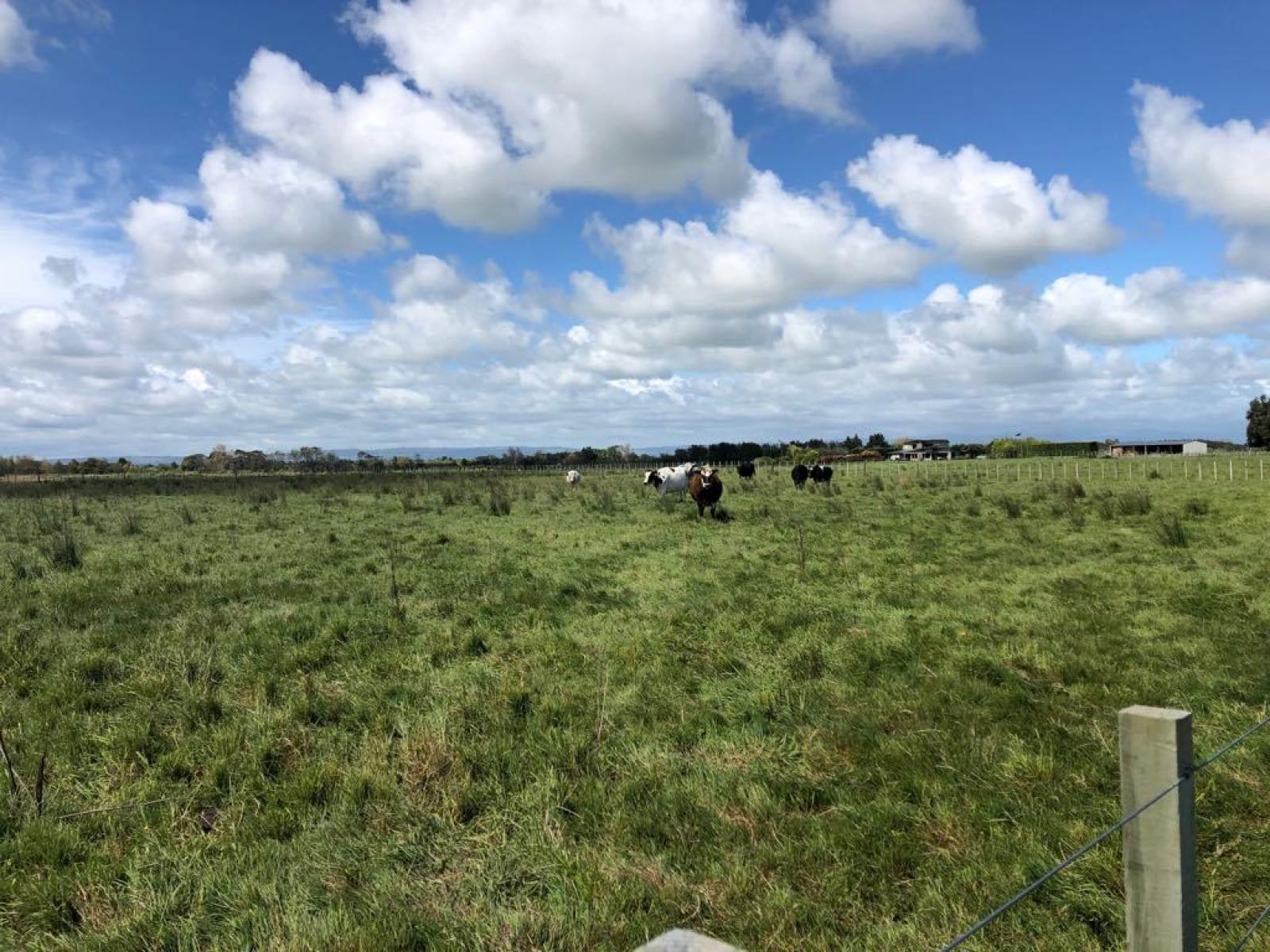 Lot 2 Pharazyn Road, Feilding