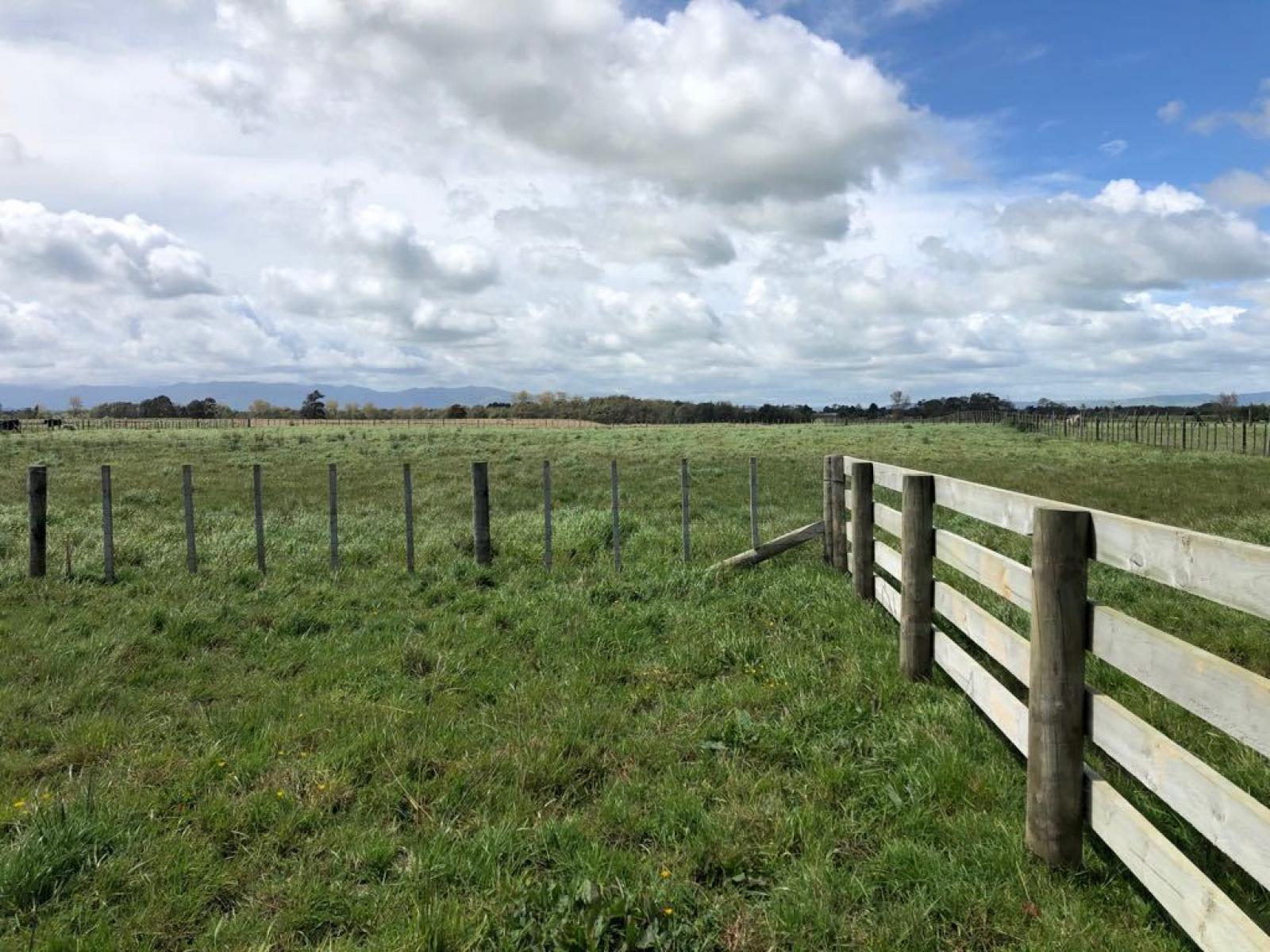 Lot 2 Pharazyn Road, Feilding