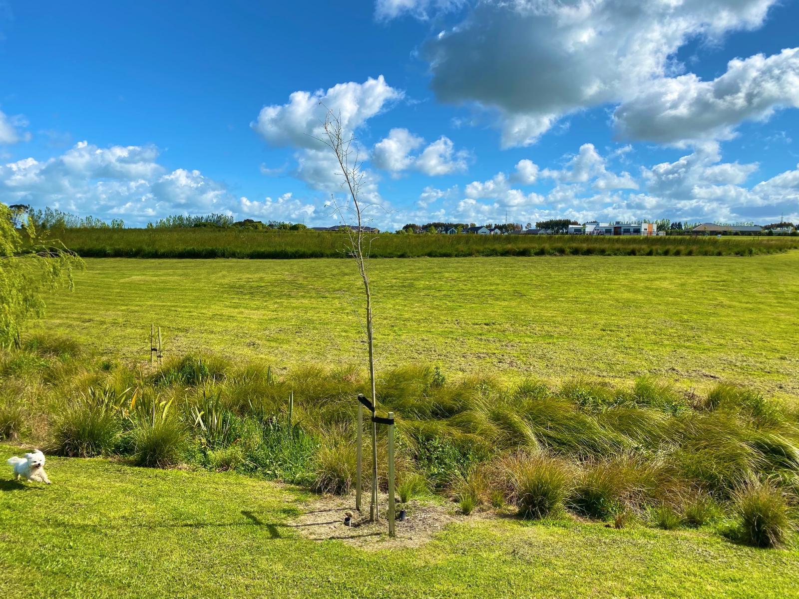 74 Hartwell Drive, Kelvin Grove