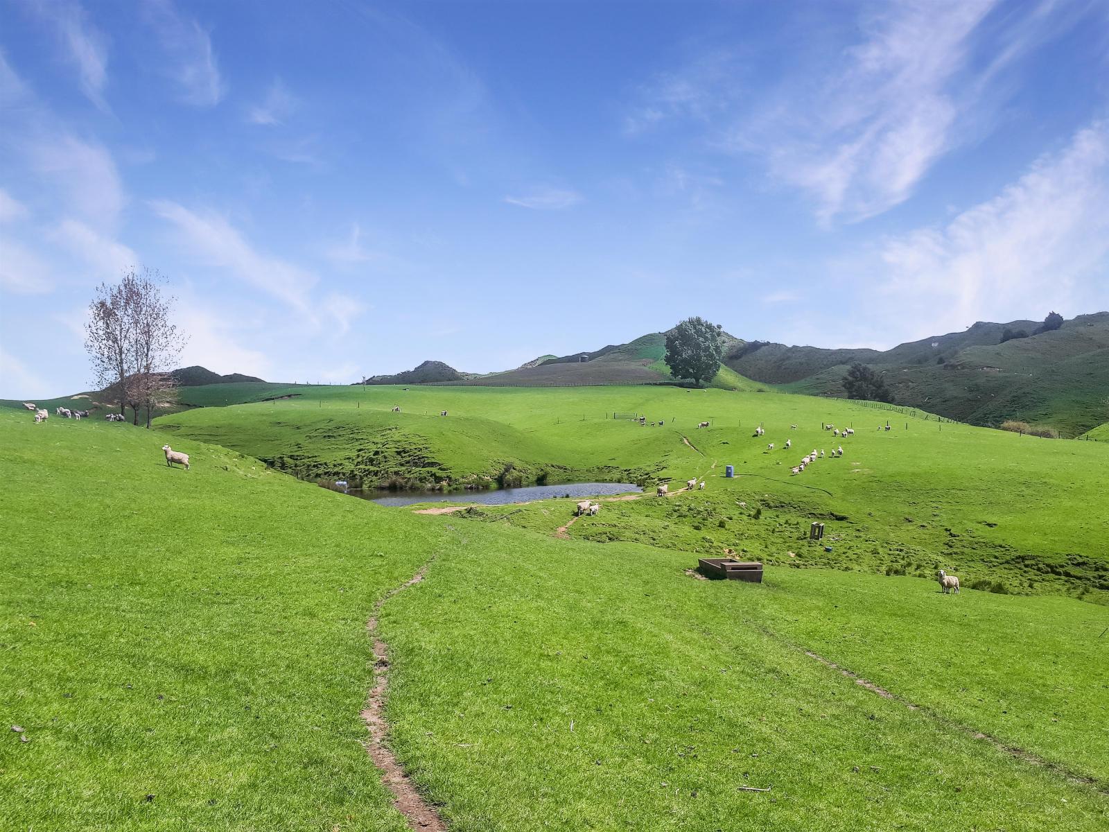 1843 Oio Road, Taumarunui
