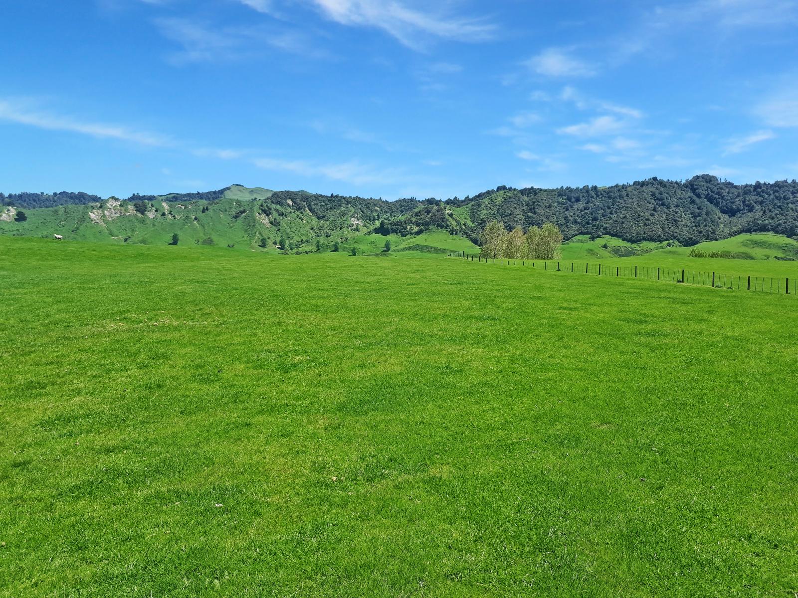 Tapuiwahine Valley Road, Taumarunui