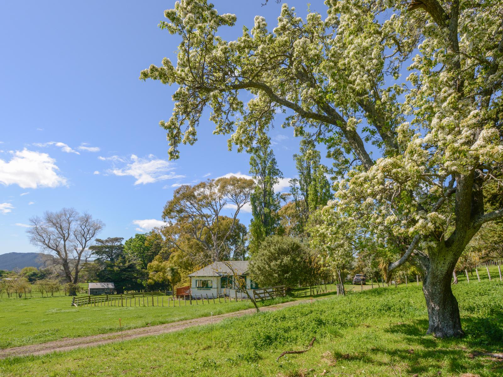 158C Matangi Road, Havelock North