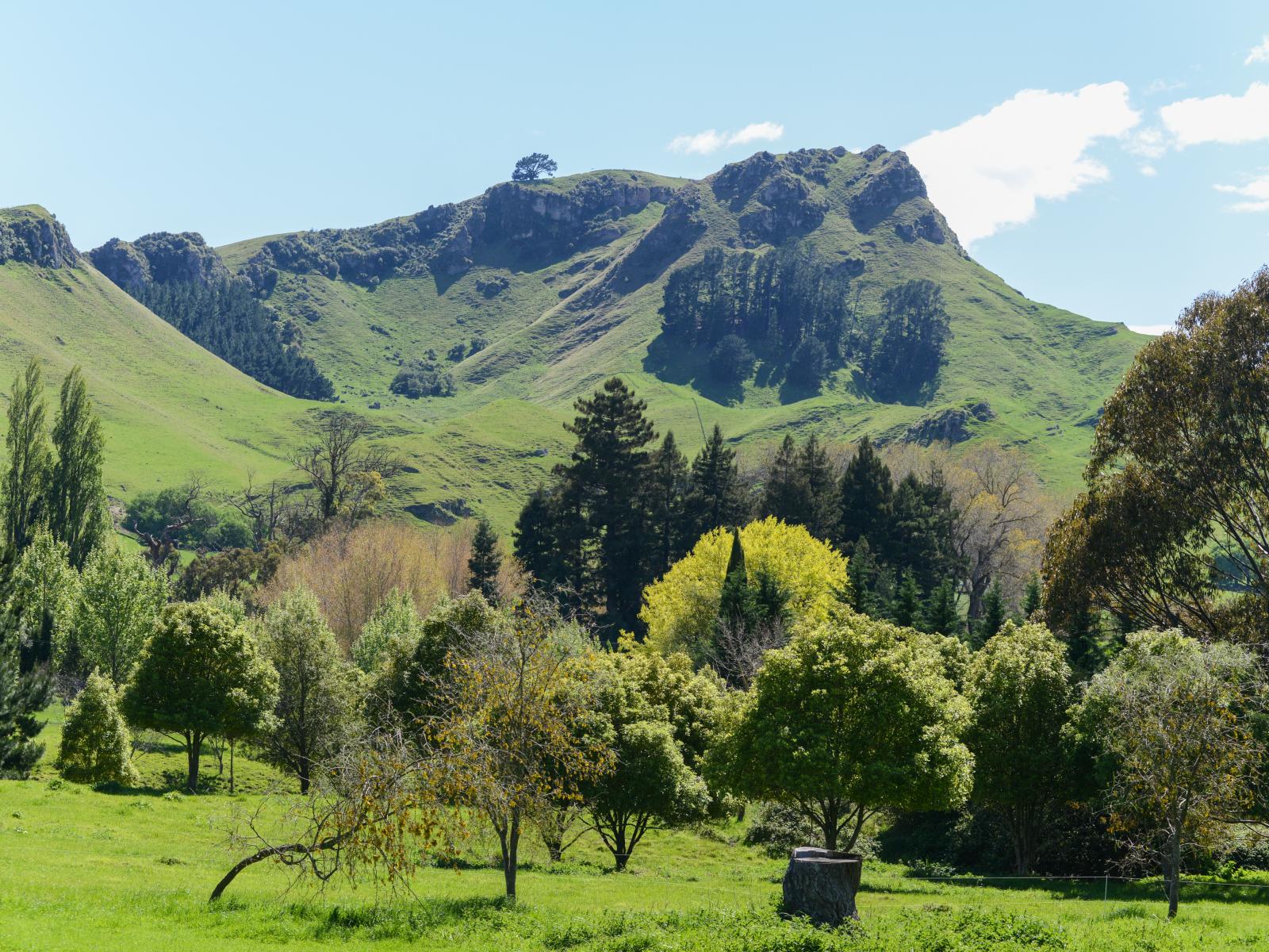 158C Matangi Road, Havelock North