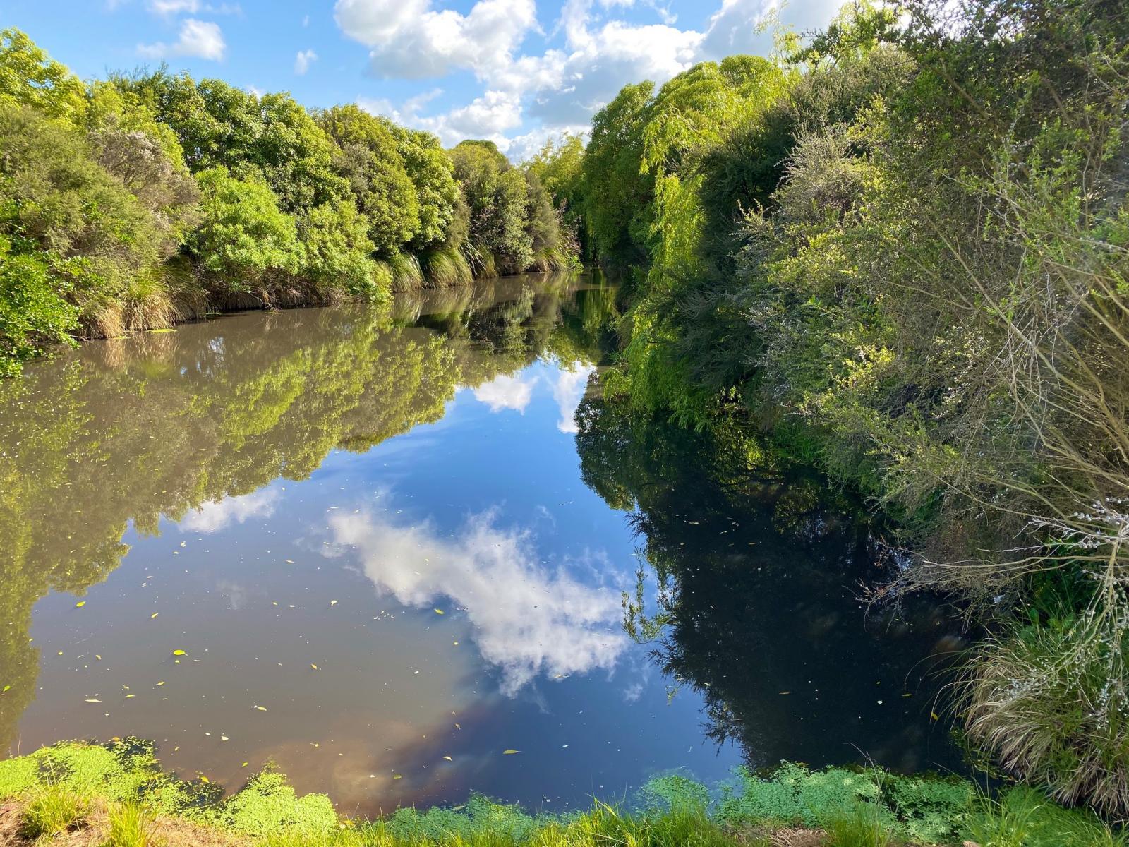 Stage 4 and 5 at Hartwell Drive (off 731 Kelvin Grove Rd), Kelvin Grove