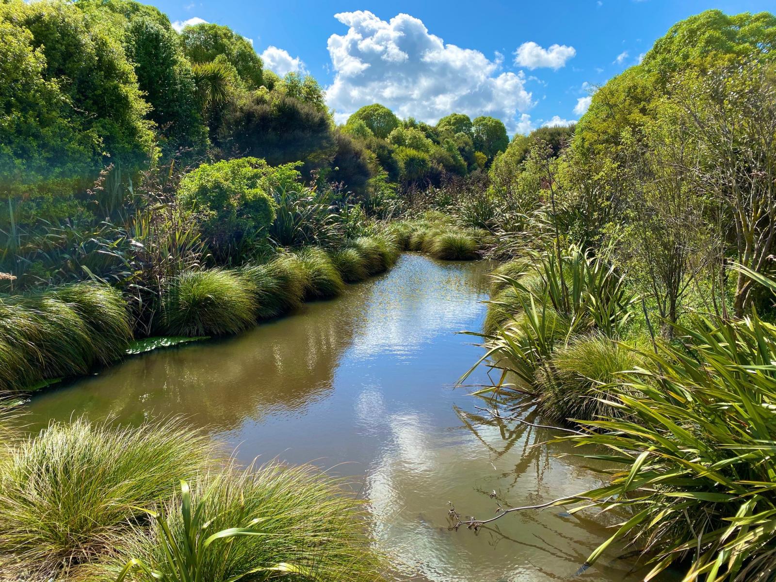 Stage 4 and 5 at Hartwell Drive (off 731 Kelvin Grove Rd), Kelvin Grove