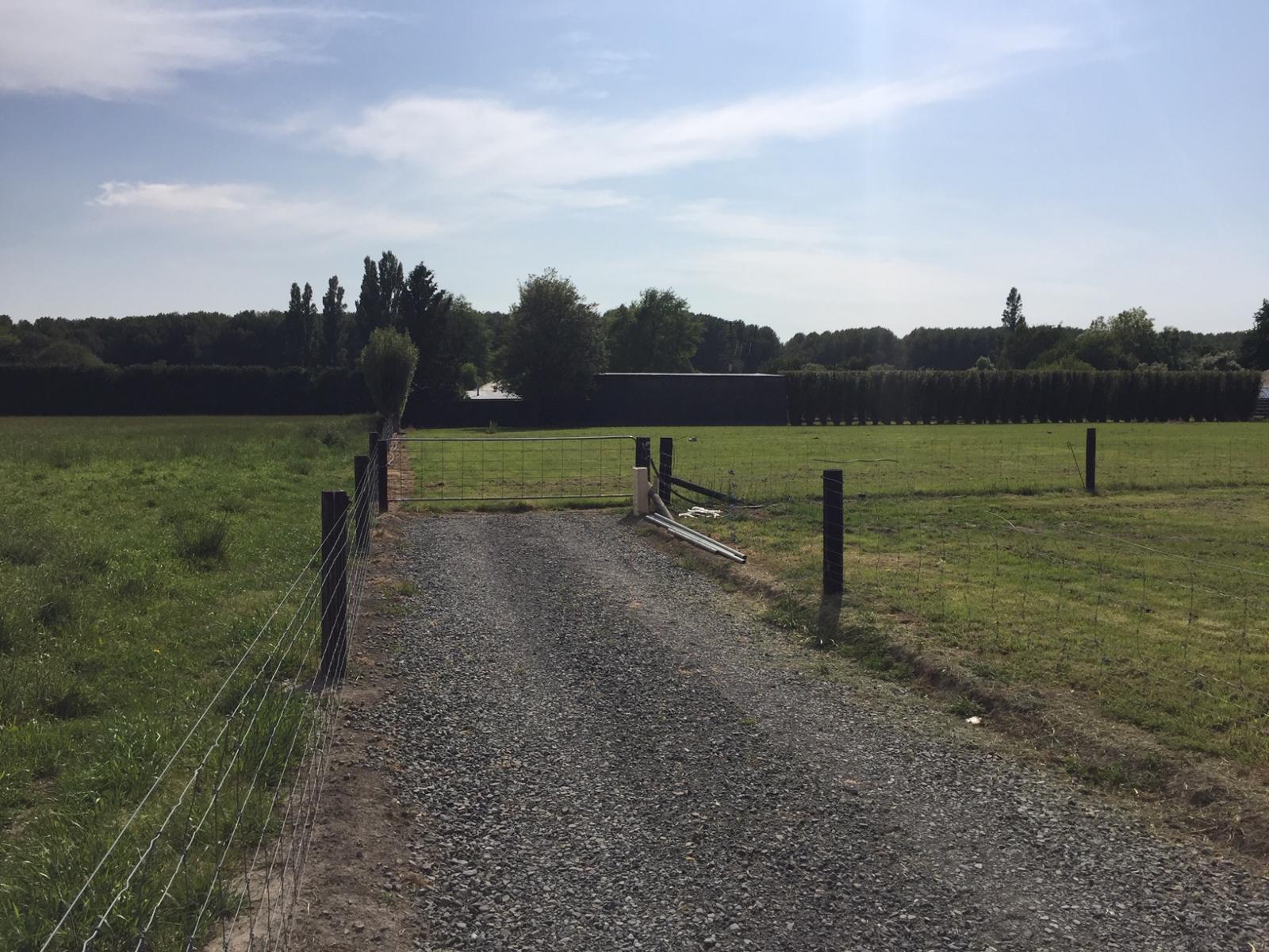 Wilkins Road, Ashburton