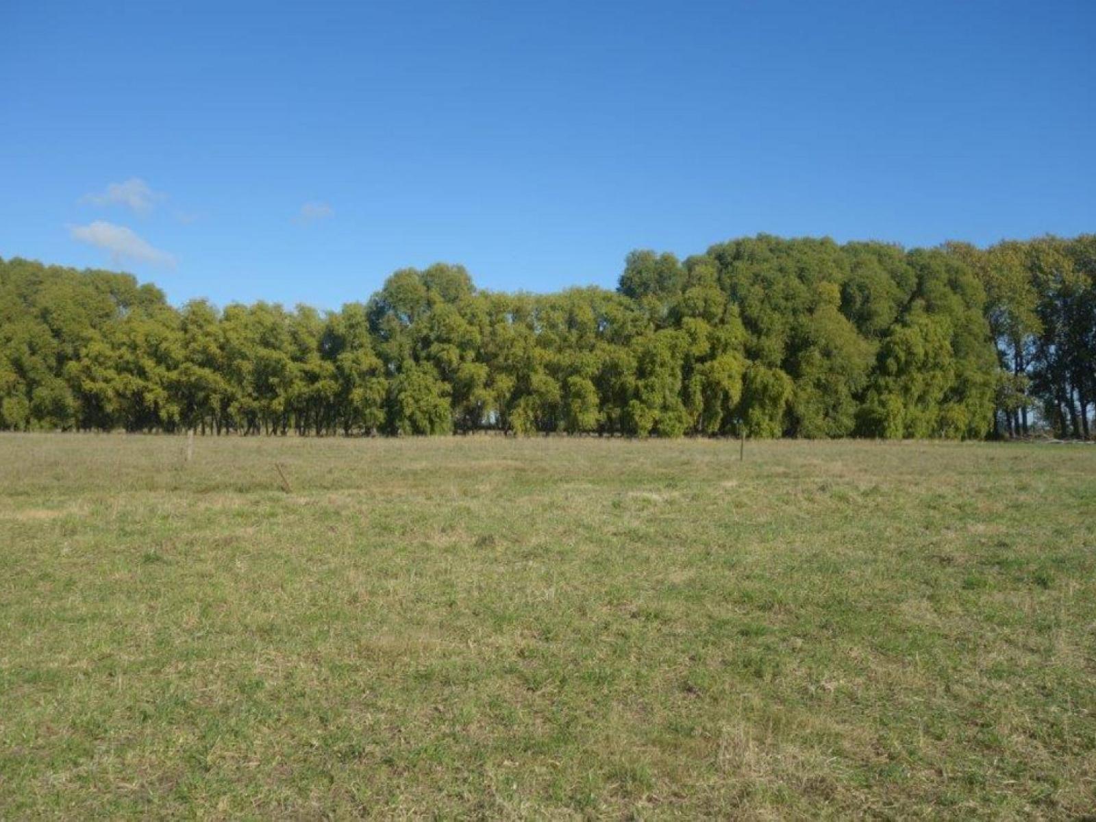 Cnr Toblins and Hanmer Road, Leeston