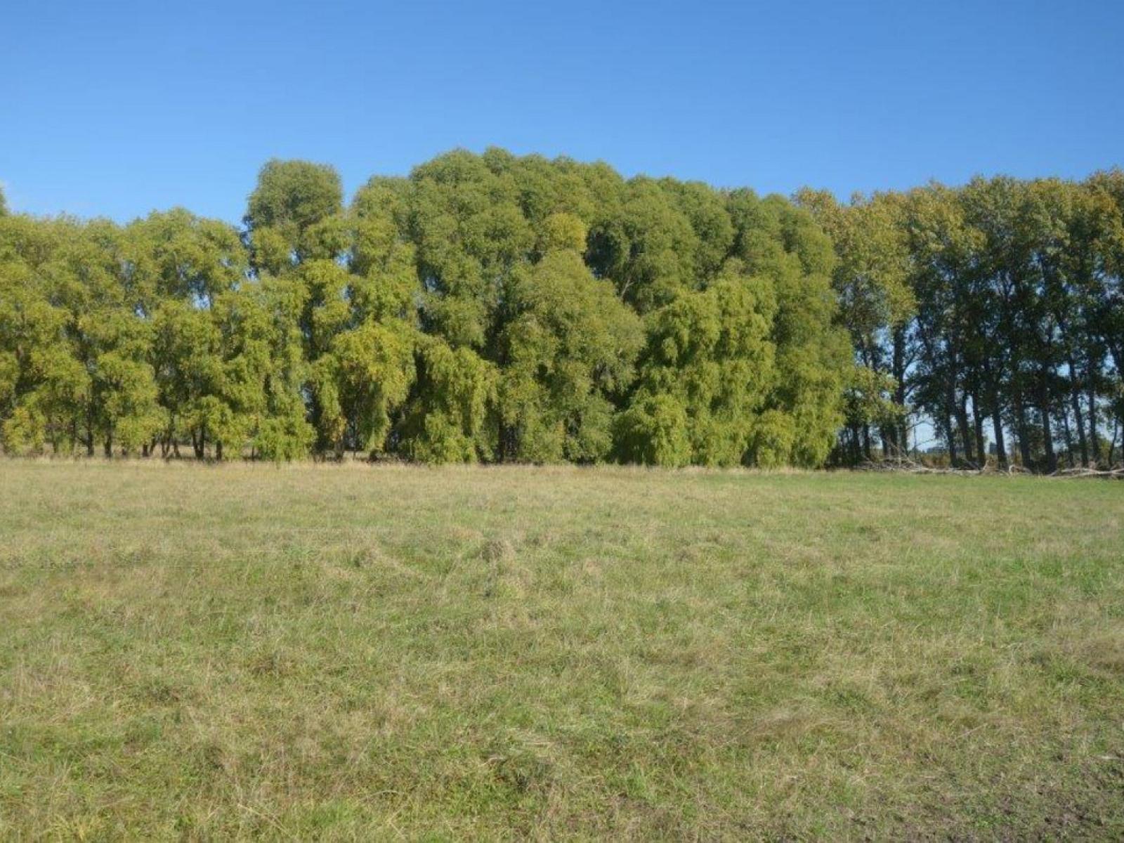 Cnr Toblins and Hanmer Road, Leeston