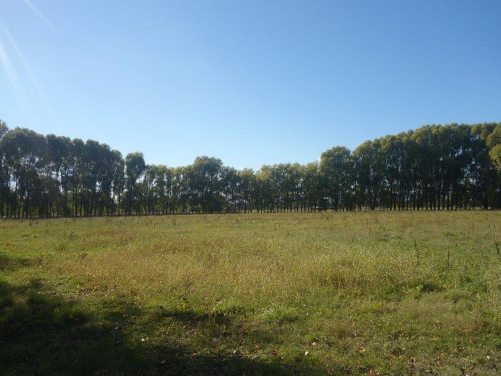 Cnr Toblins and Hanmer Road, Leeston