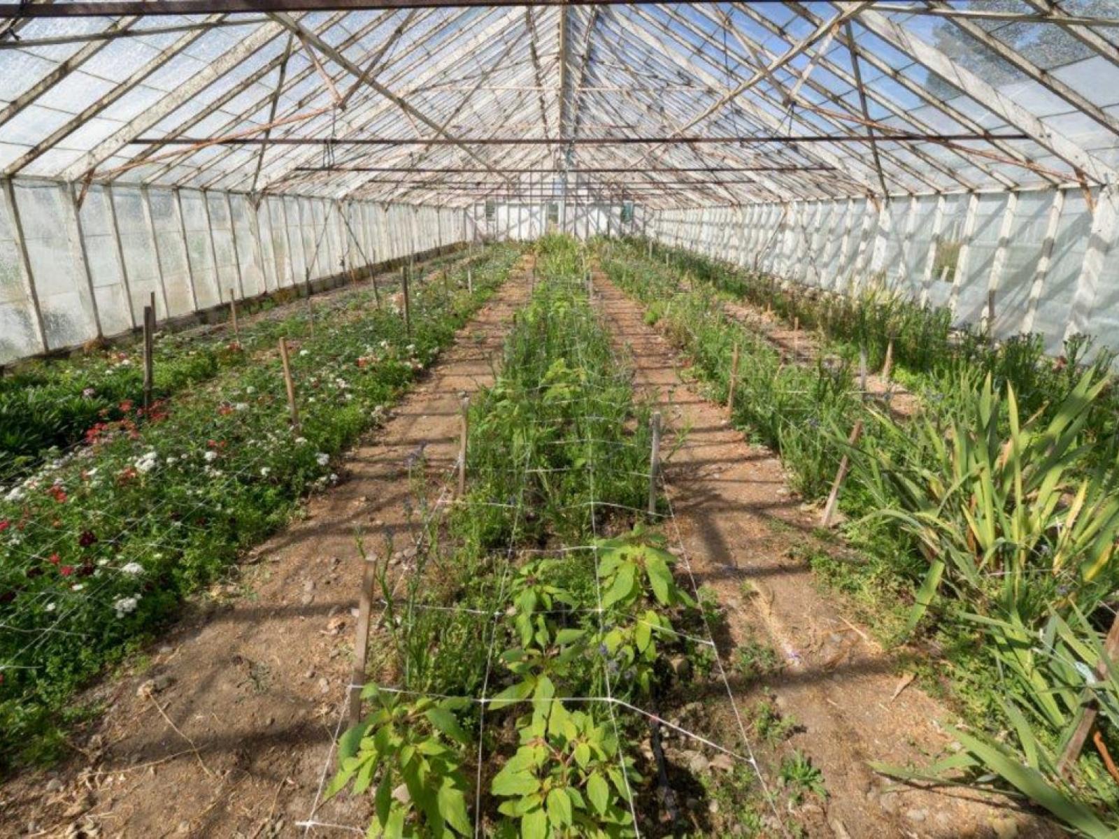 94 Thews Road, Ashburton