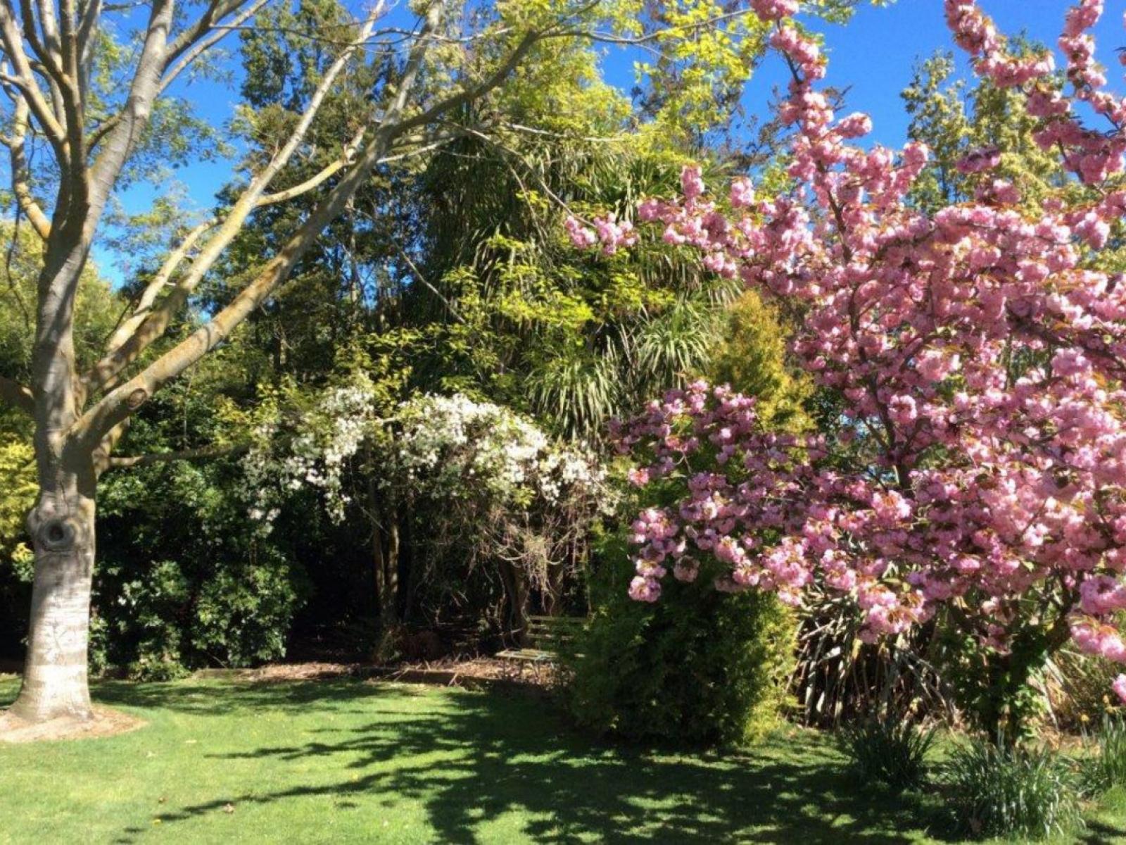 94 Thews Road, Ashburton