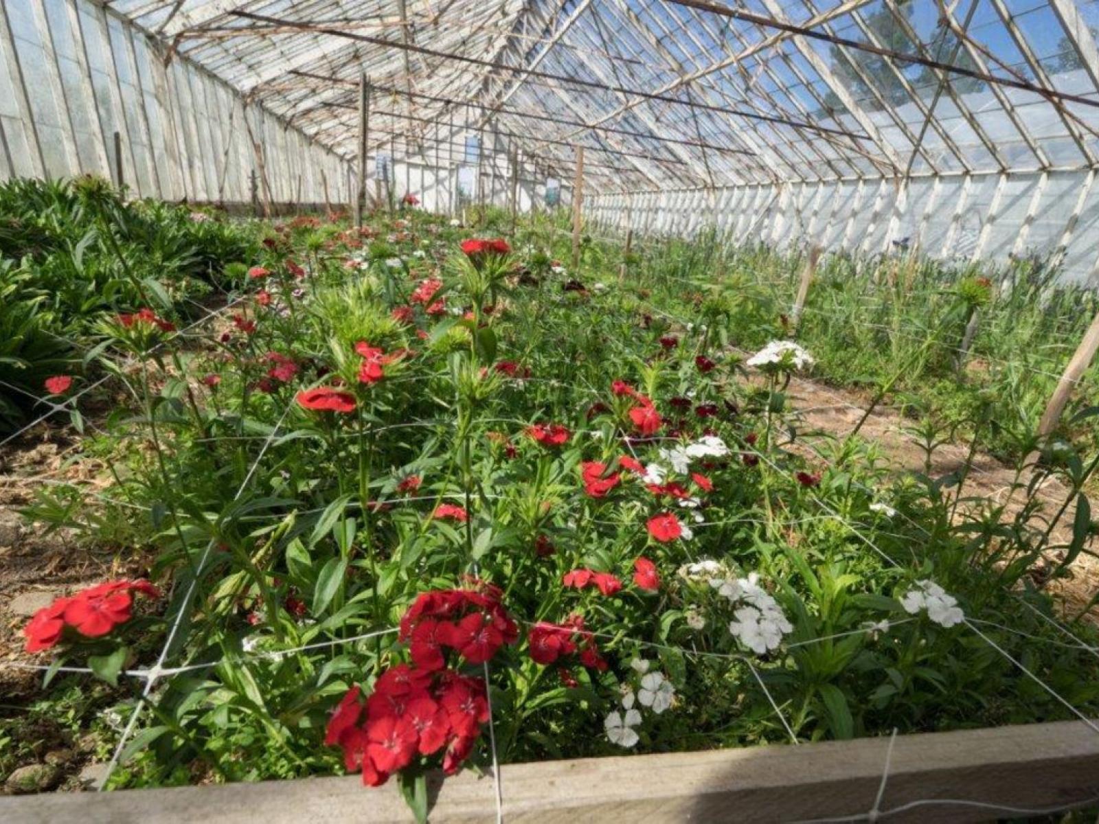 94 Thews Road, Ashburton