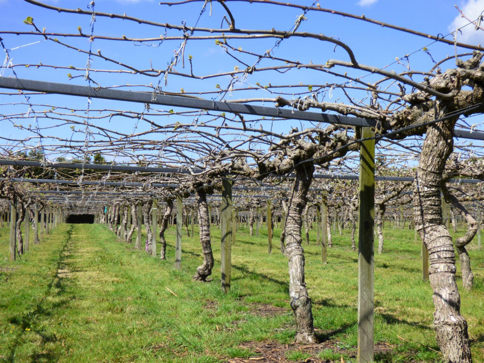 98 Angle Road, Awakeri