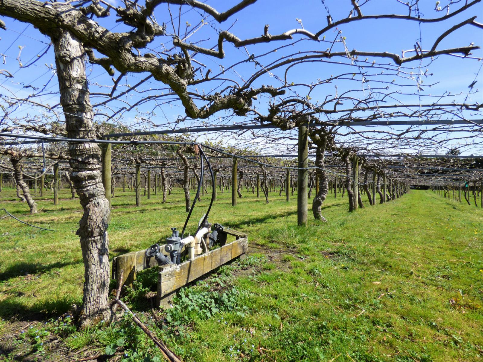 98 Angle Road, Awakeri