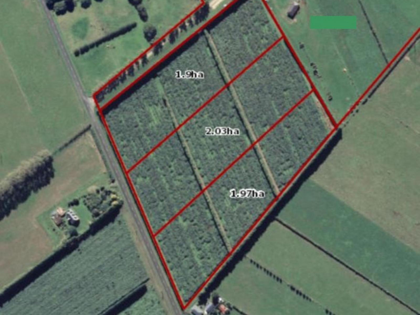 98 Angle Road, Awakeri